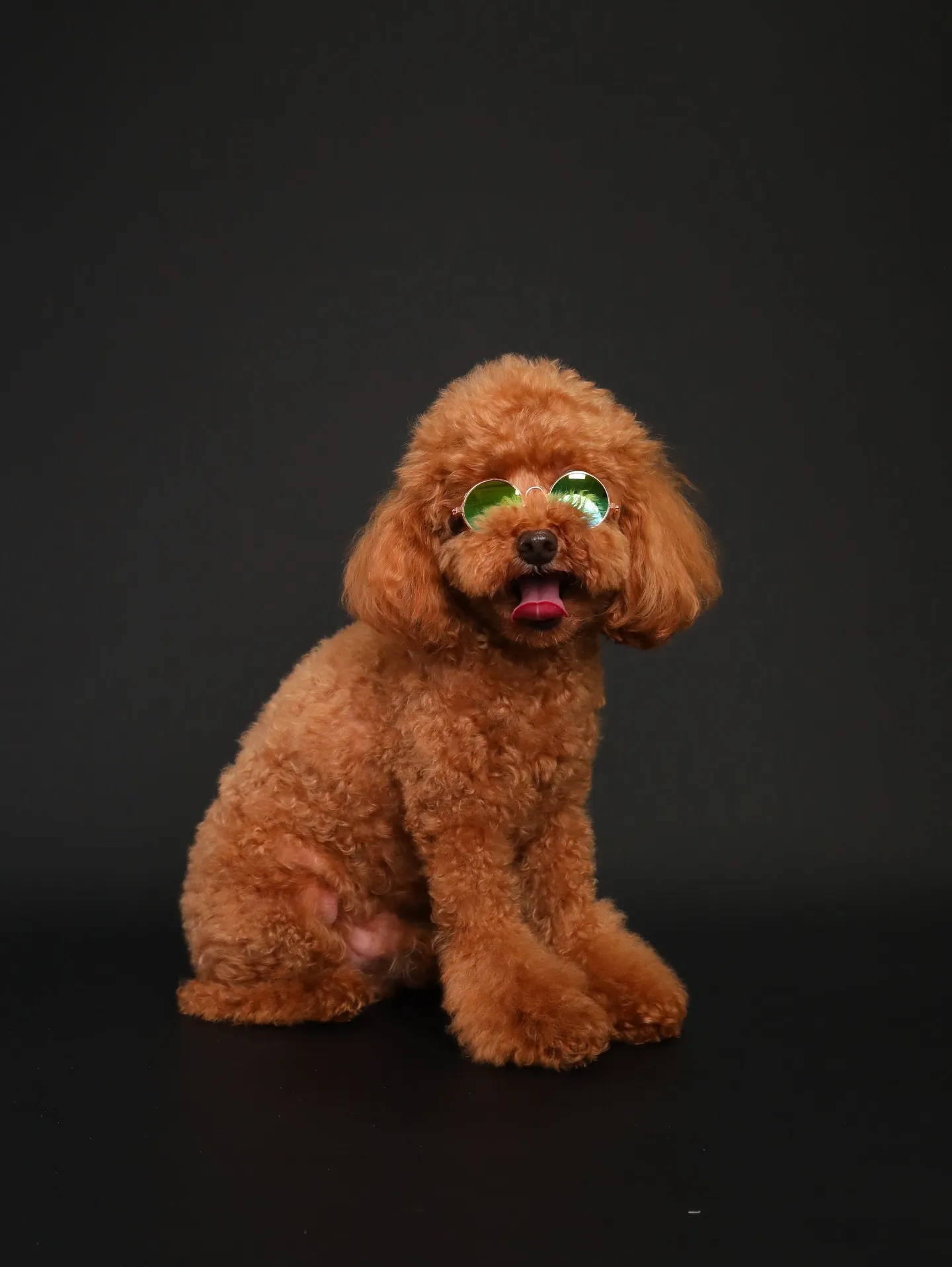 【BLACK Backdrop Photoshoot -So...