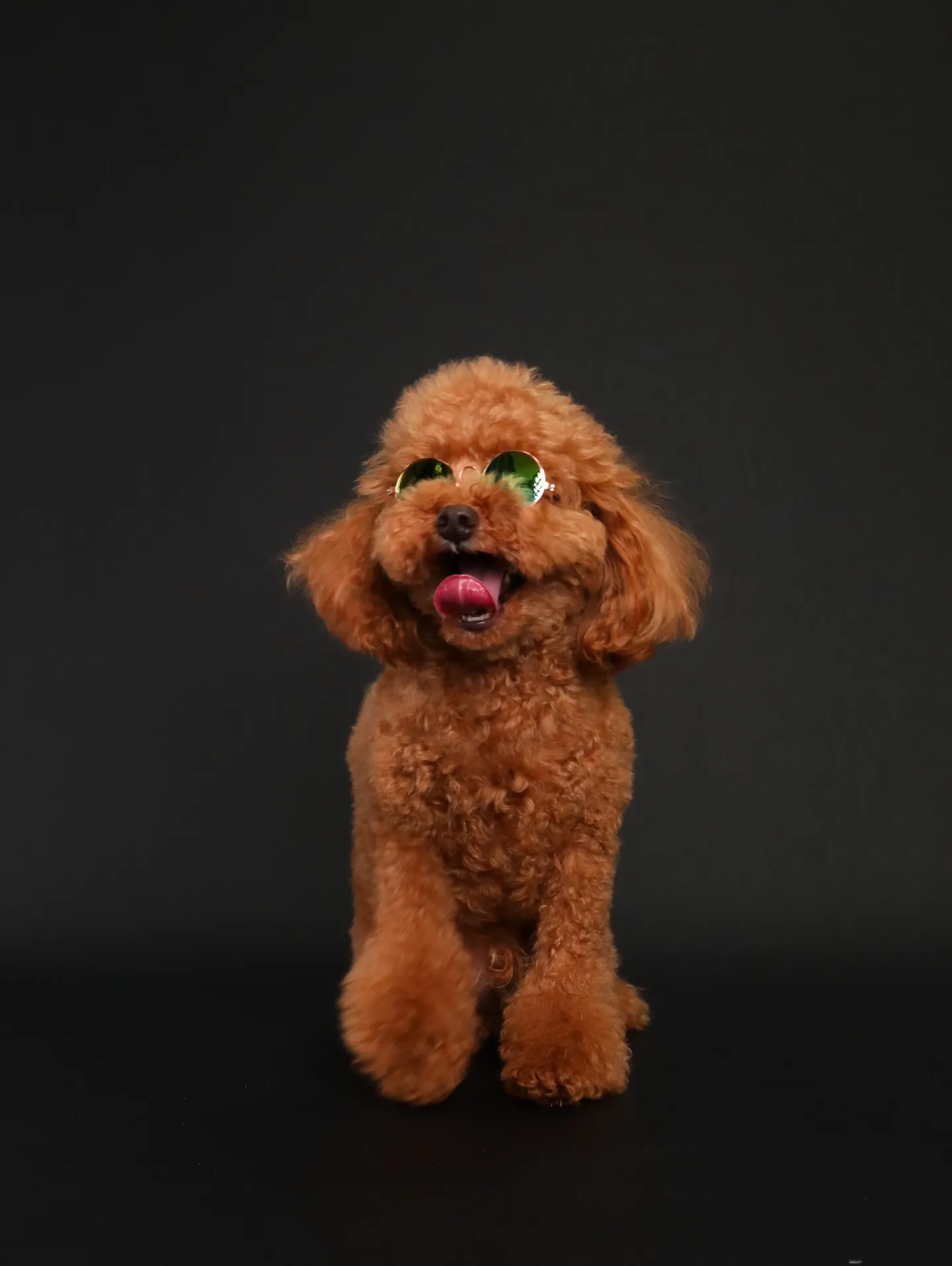 【BLACK Backdrop Photoshoot -So...