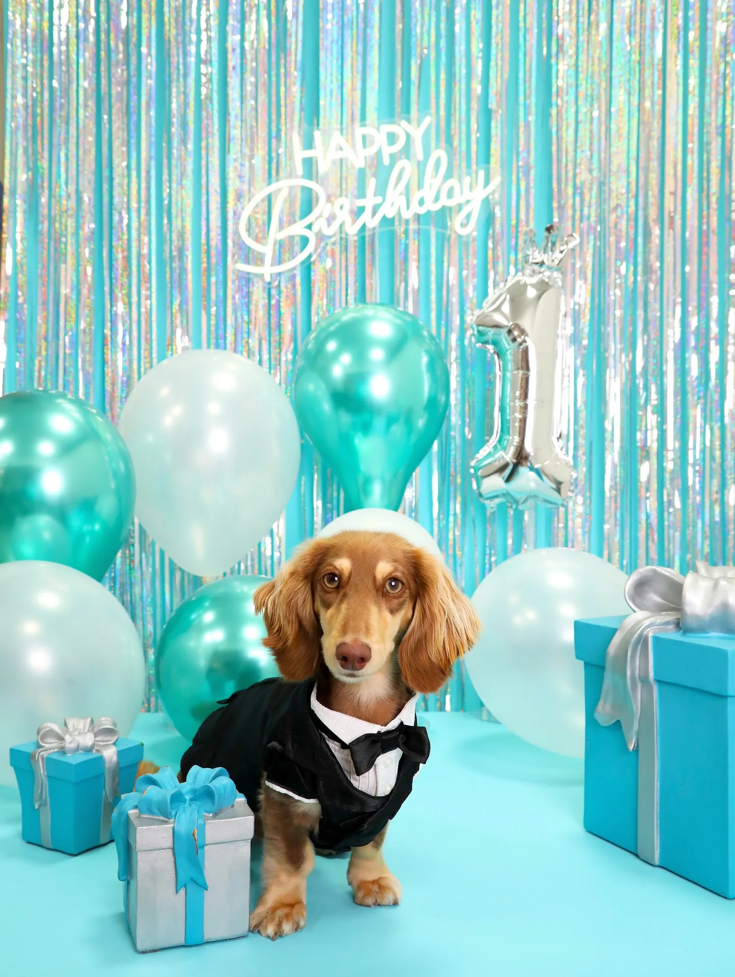 【Birthday Photobofth🗽-水色-】