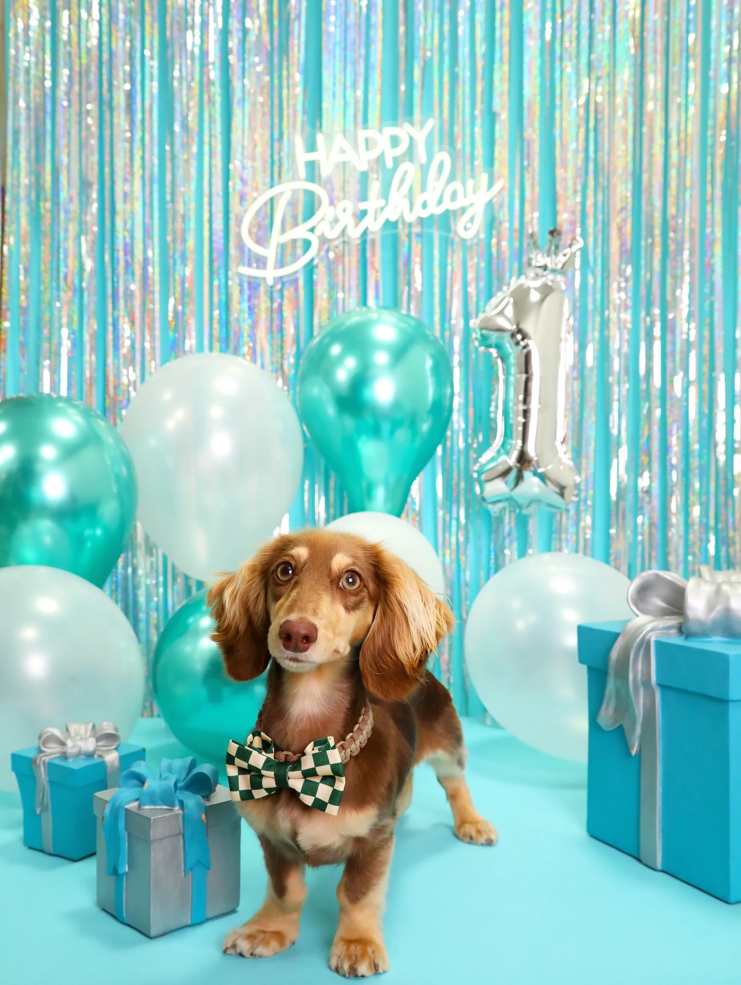 【Birthday Photobofth🗽-水色-】