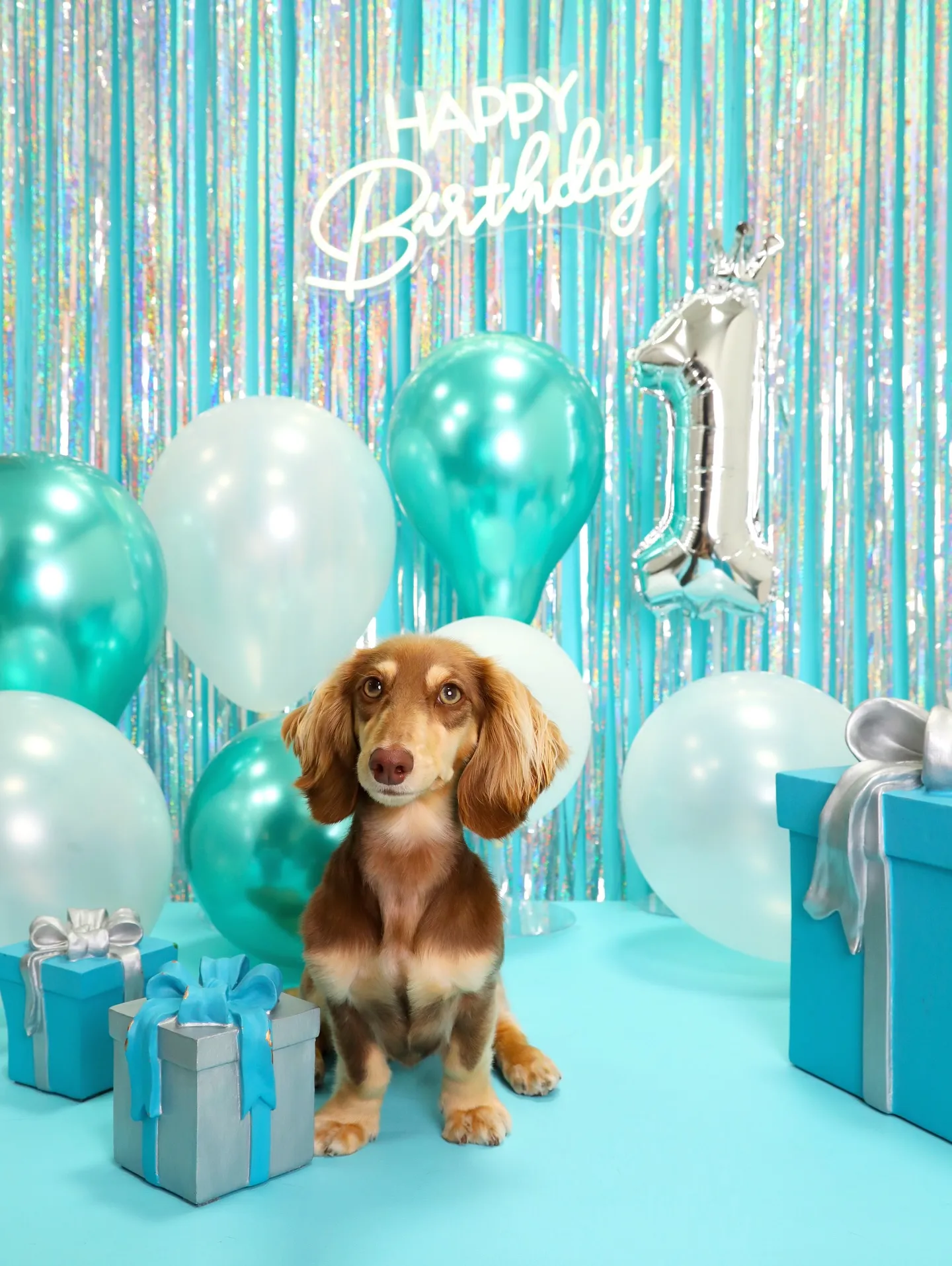 【Birthday Photobofth🗽-水色-】