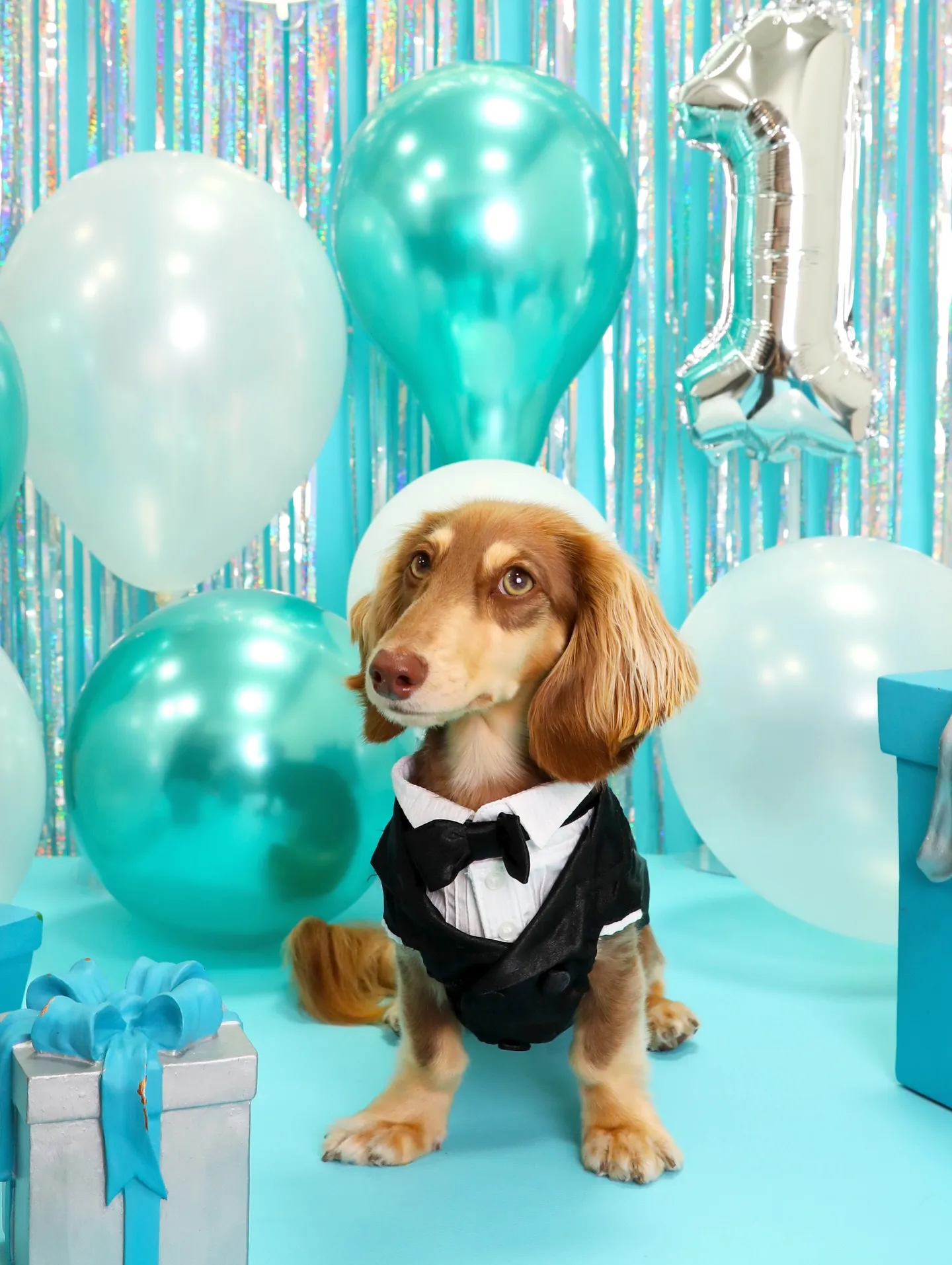 【Birthday Photobofth🗽-水色-】