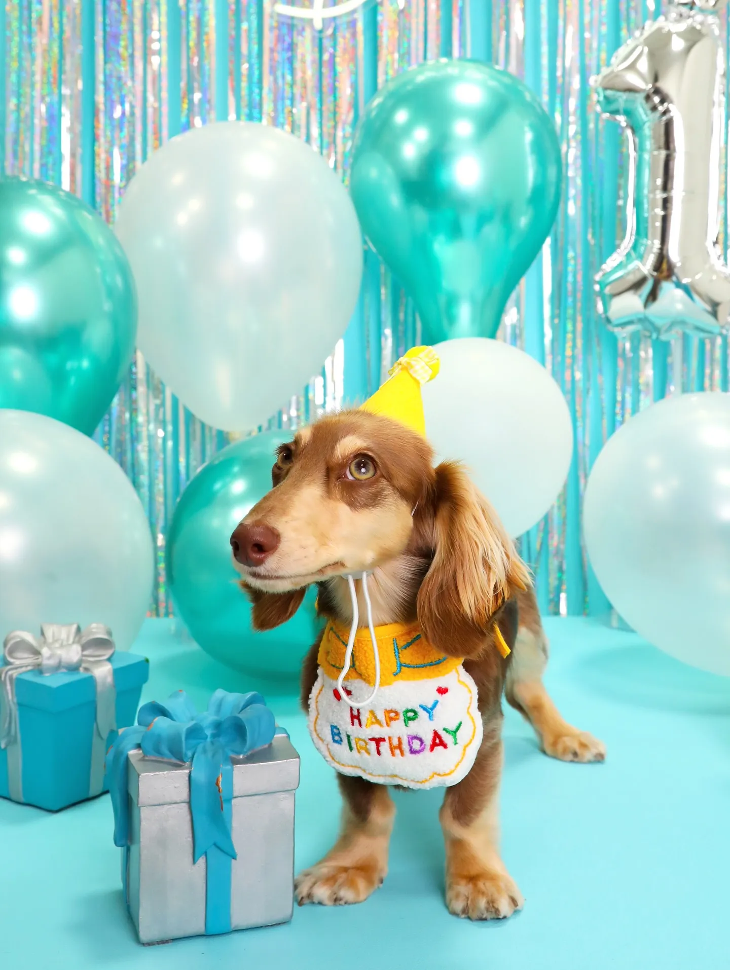 【Birthday Photobofth🗽-水色-】