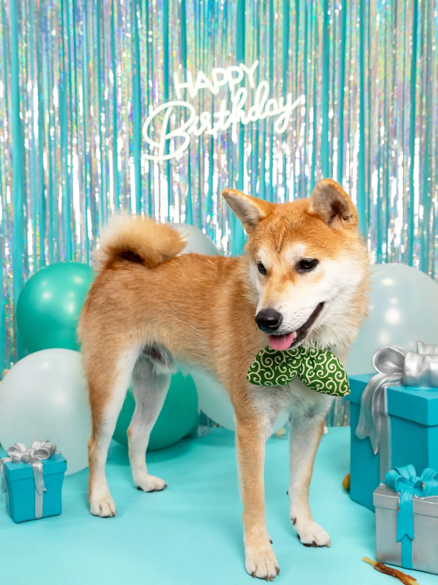 【Birthday Photobofth🗽-水色-】