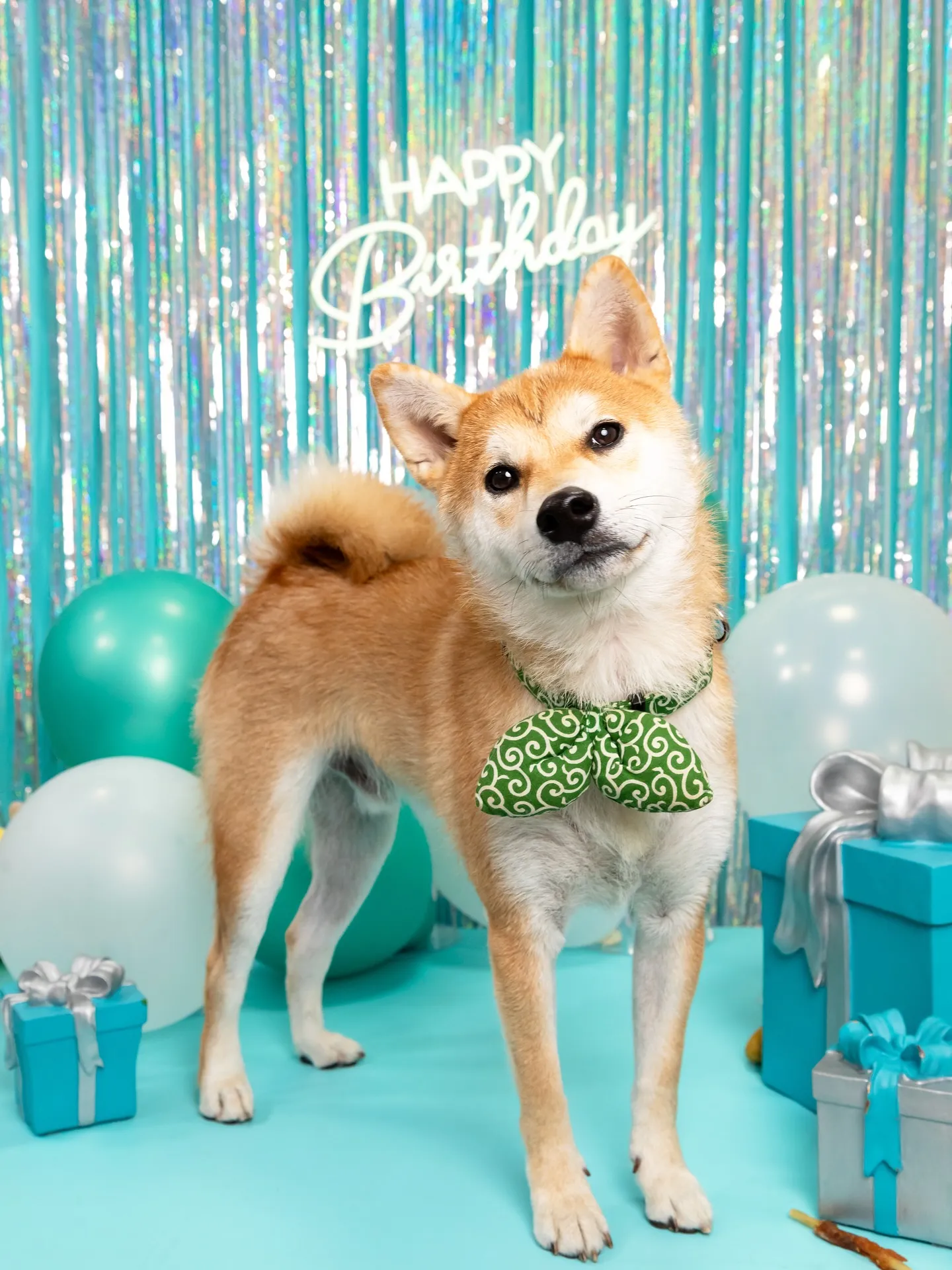 【Birthday Photobofth🗽-水色-】