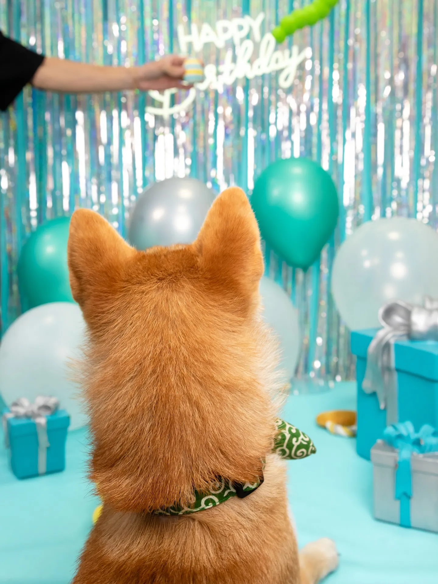 【Birthday Photobofth🗽-水色-】