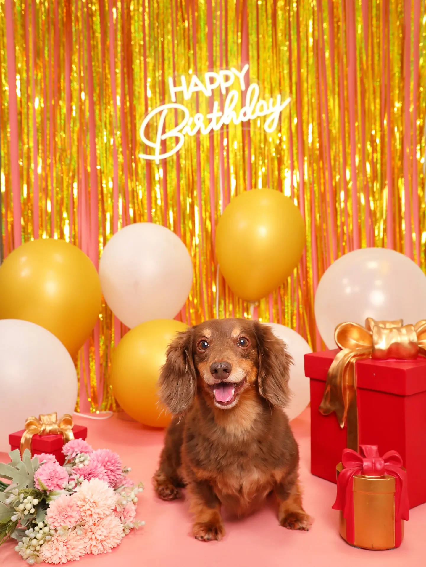 【Birthday🎉Photoshoot -ピンク-】