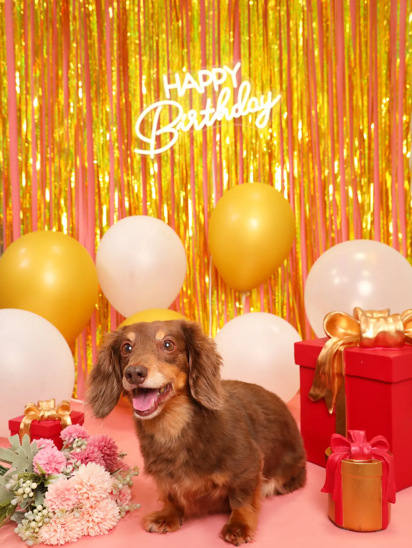 【Birthday🎉Photoshoot -ピンク-】