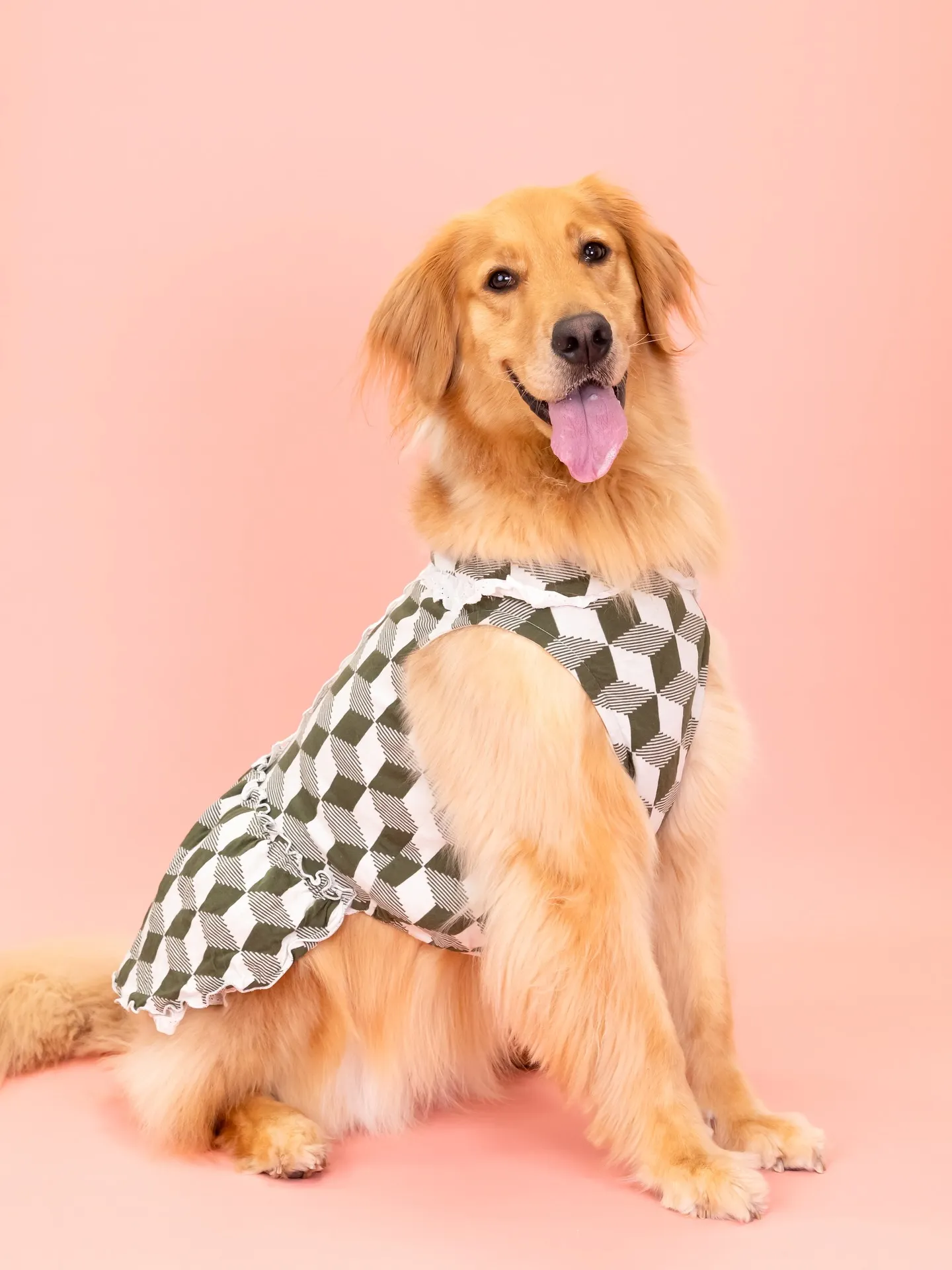 【PINK Backdrop Photoshoot -Sol...