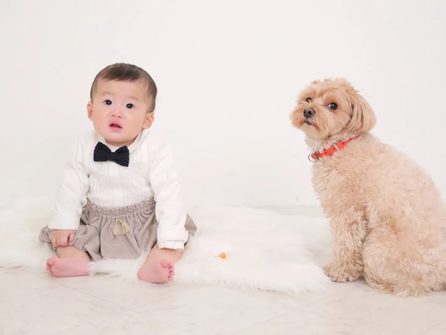 【WHITE Backdrop photoshoot】