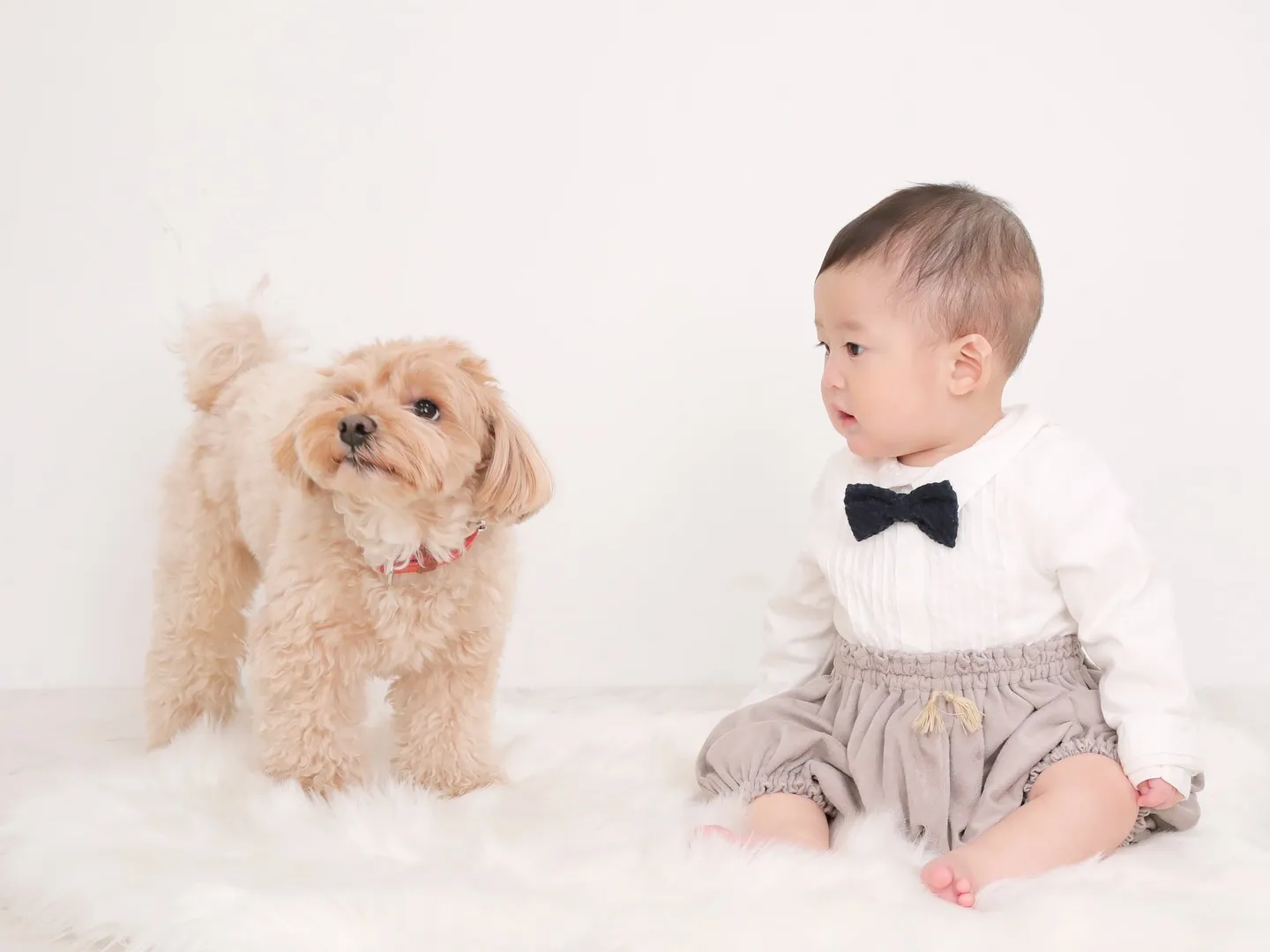 【WHITE Backdrop photoshoot】