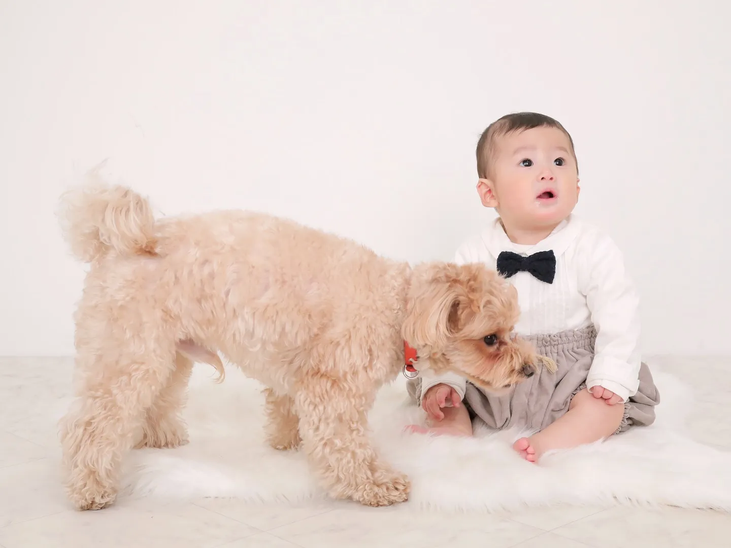 【WHITE Backdrop photoshoot】