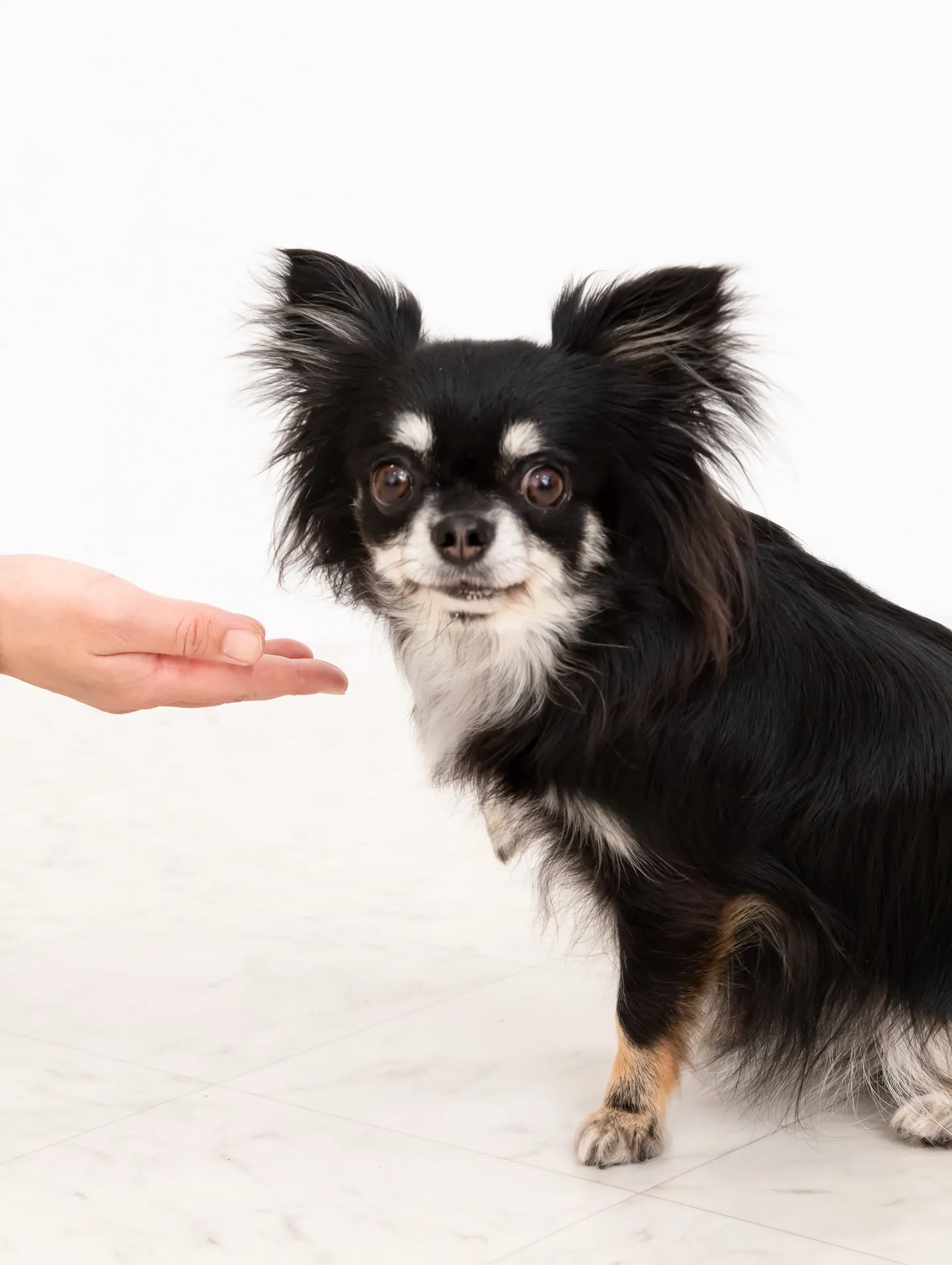 【WHITE Backdrop photoshoot】