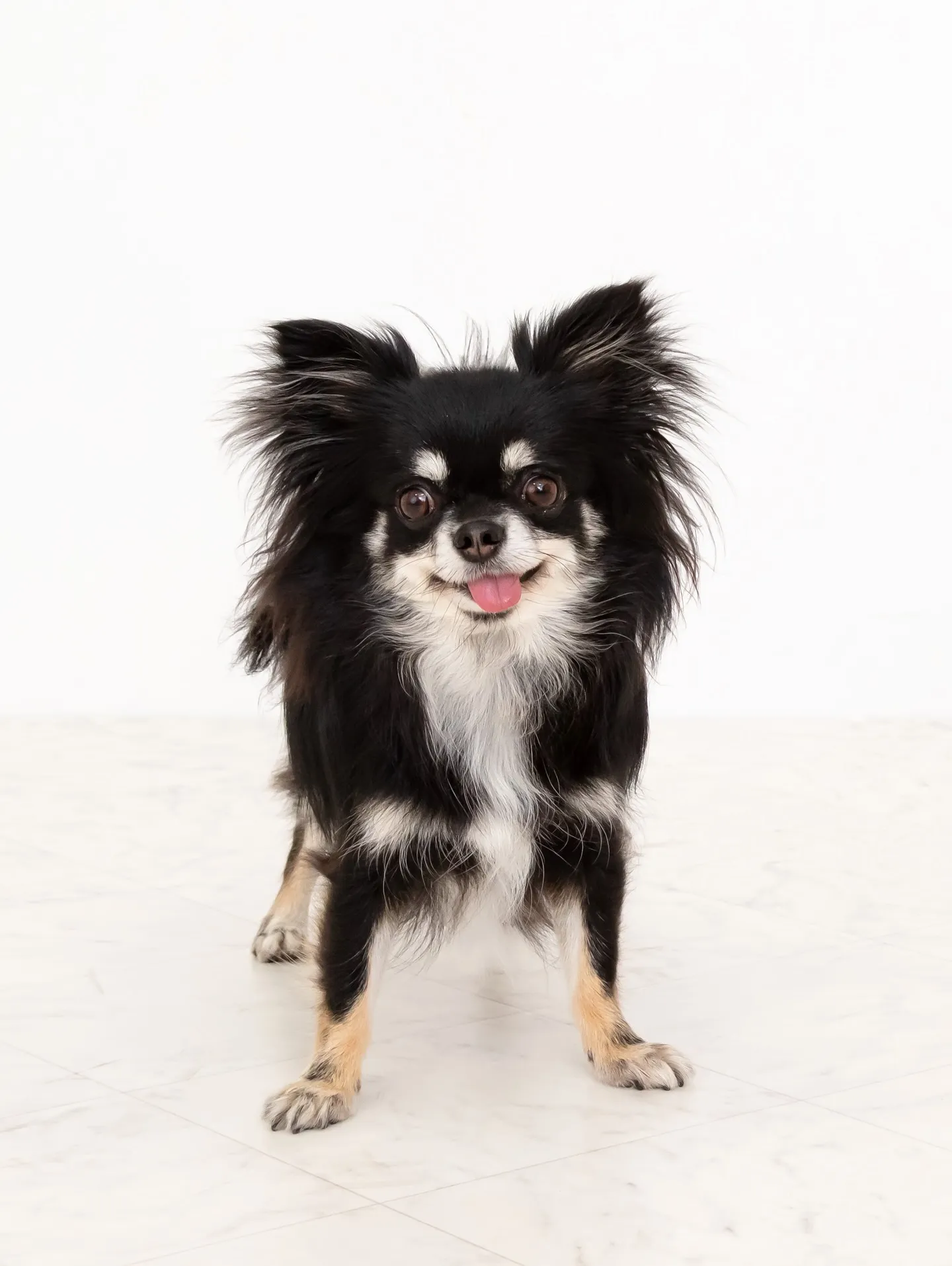 【WHITE Backdrop photoshoot】