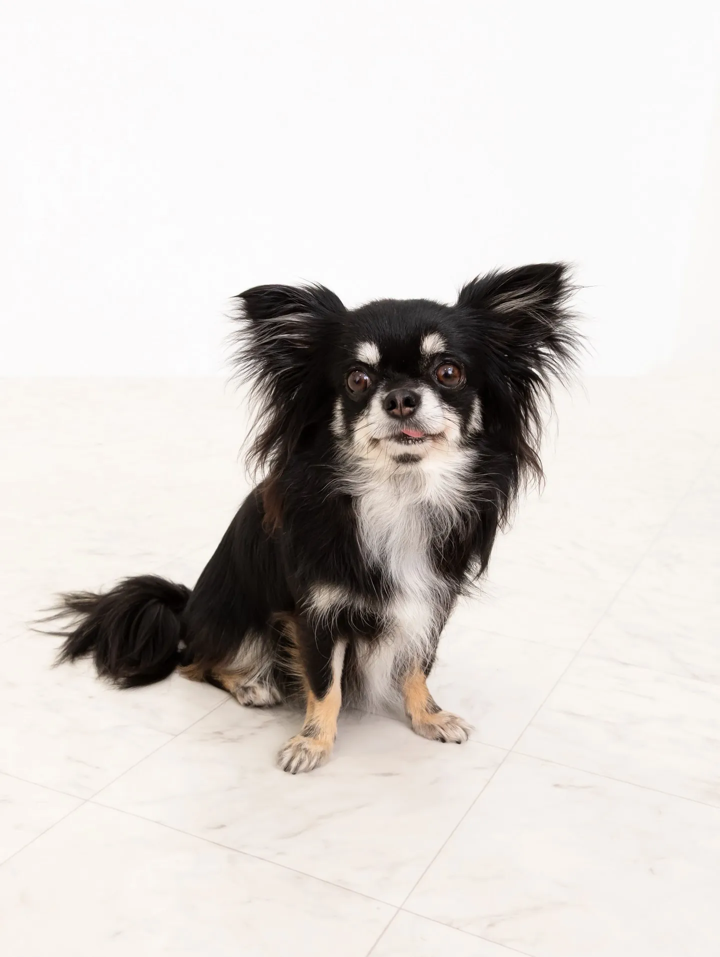 【WHITE Backdrop photoshoot】