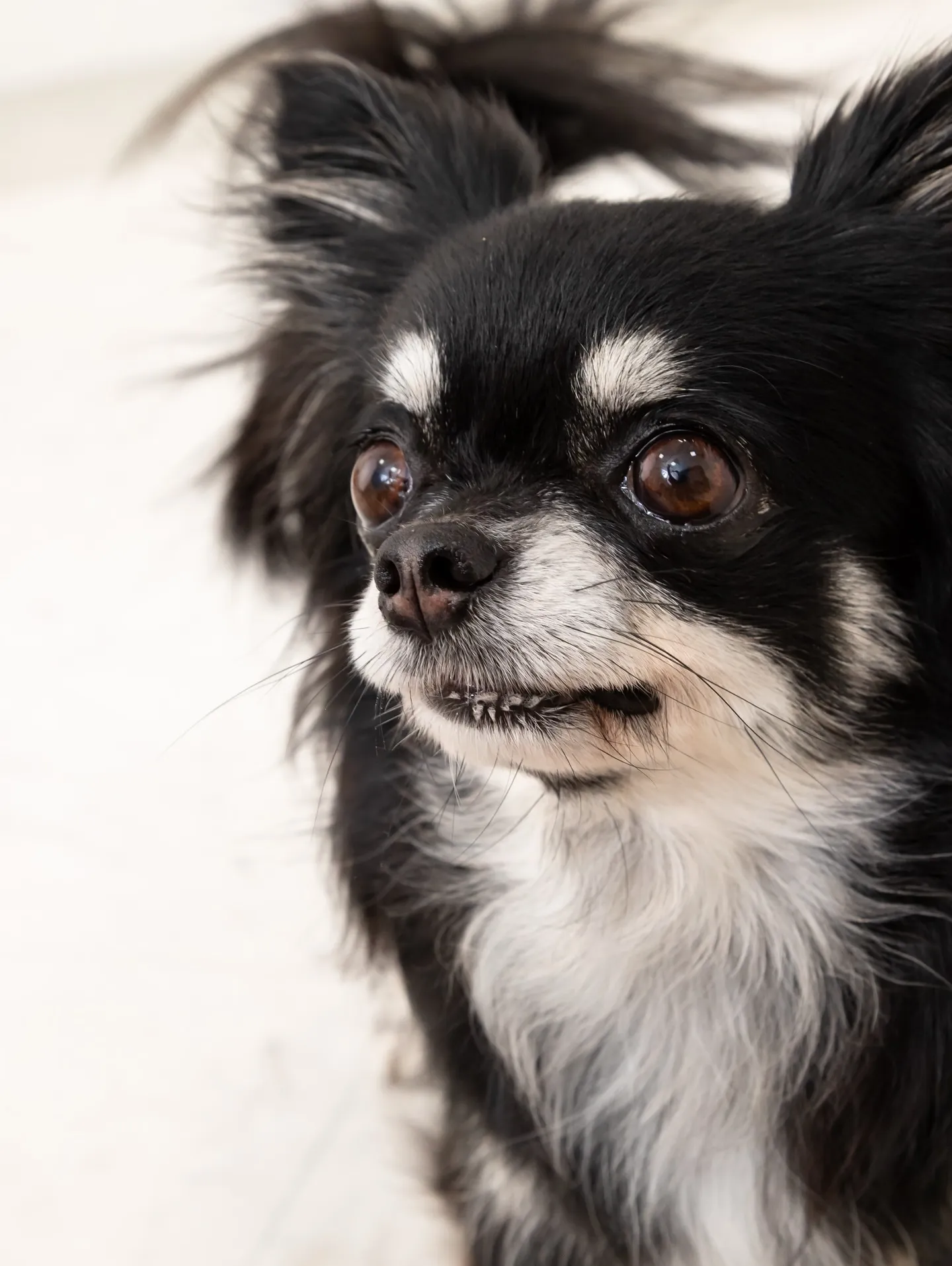 【WHITE Backdrop photoshoot】