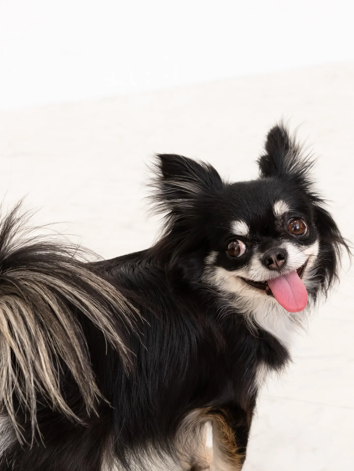 【WHITE Backdrop photoshoot】