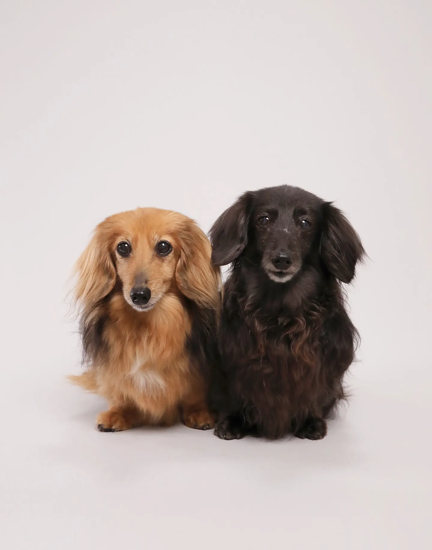 【Light-GRAY Self-photoshoot】