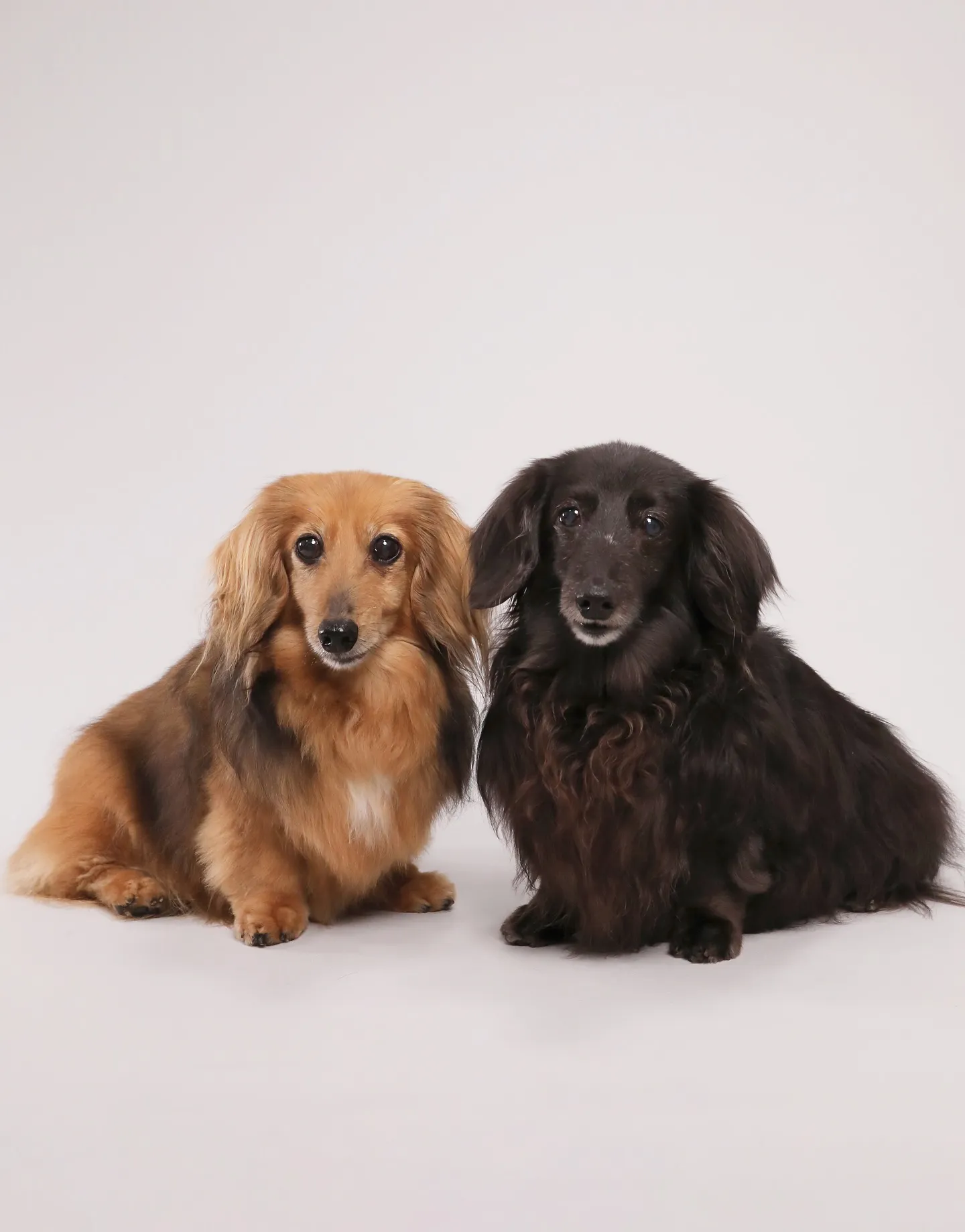 【Light-GRAY Self-photoshoot】