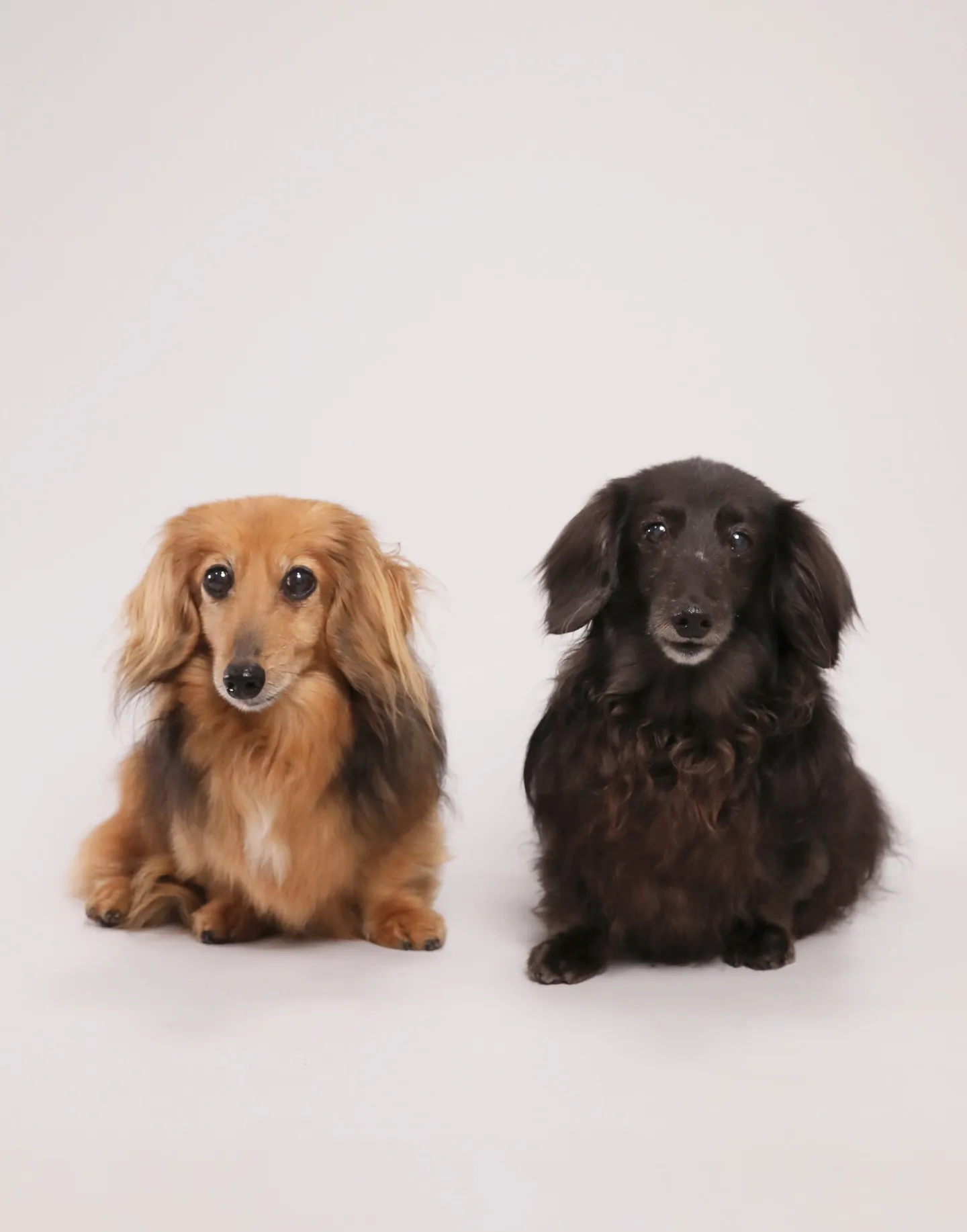 【Light-GRAY Self-photoshoot】