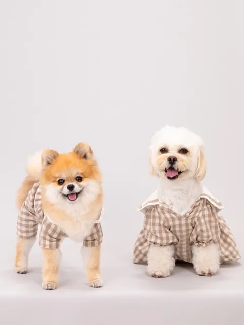 【Light-GRAY Backdrop Photoshoo...