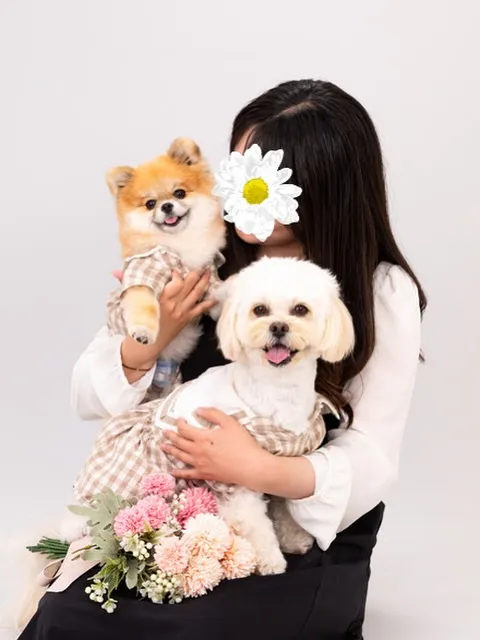 【Light-GRAY Backdrop Photoshoo...