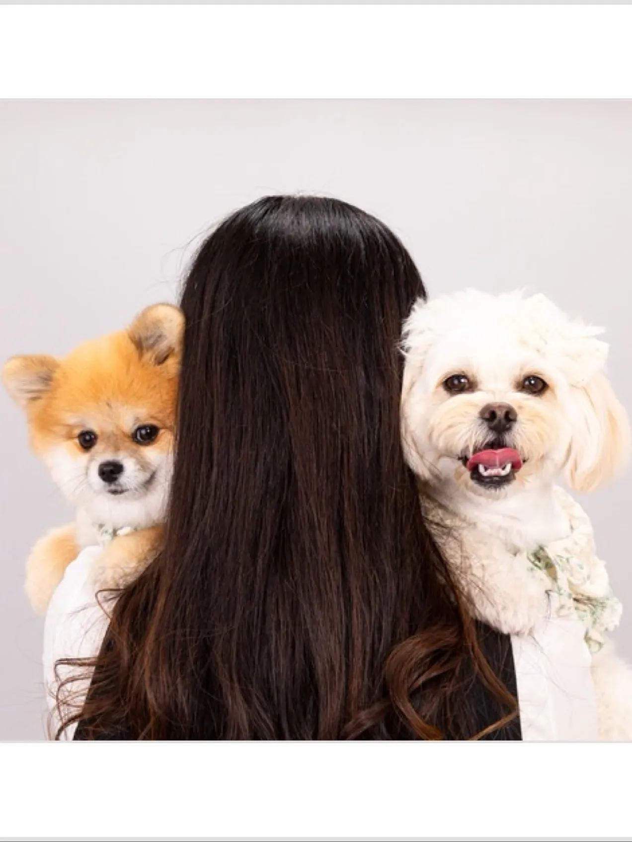 【Light-GRAY Backdrop Photoshoo...