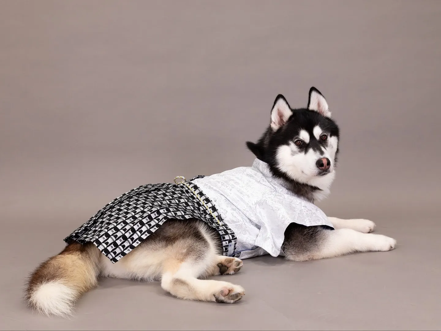 【GRAY Backdrop Photoshoot -2wa...