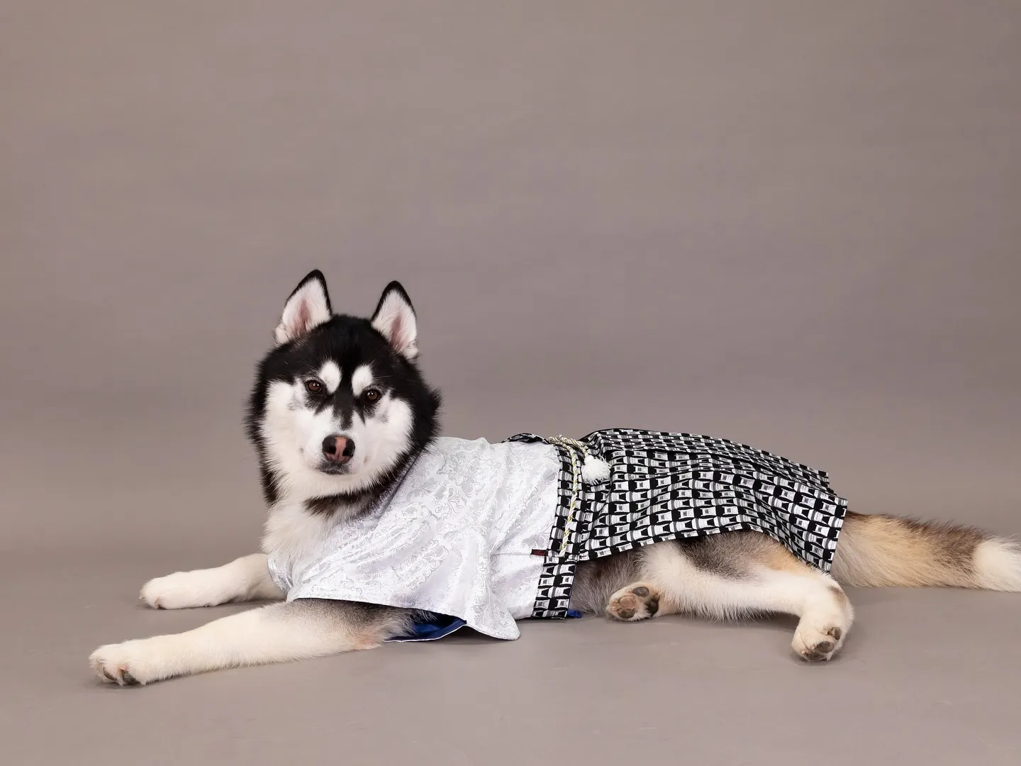 【GRAY Backdrop Photoshoot -2wa...