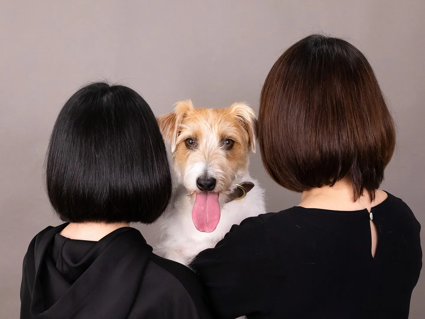 【GRAY Backdrop Photoshoot】