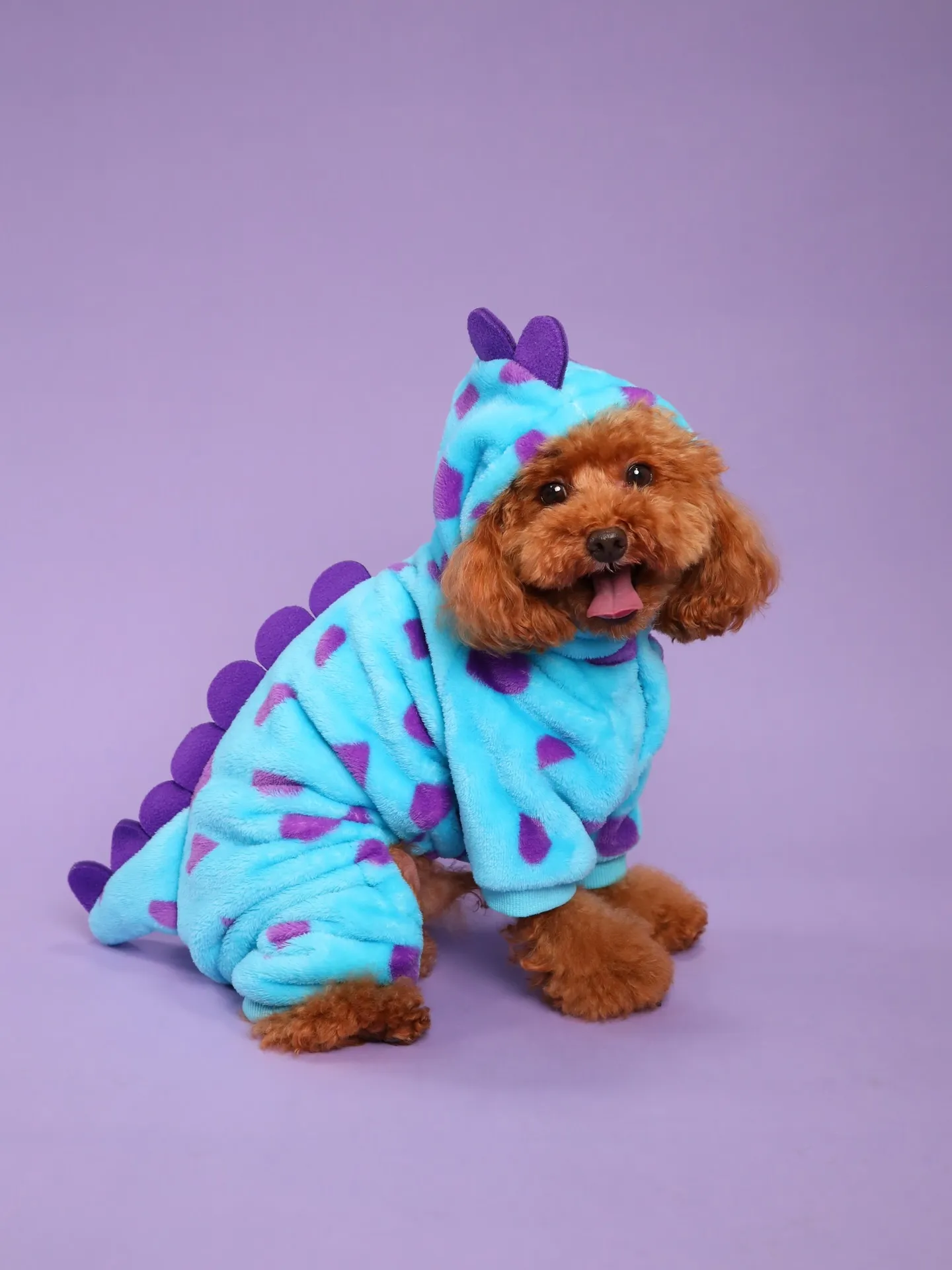 【PURPLE Backdrop Photoshoot -S...