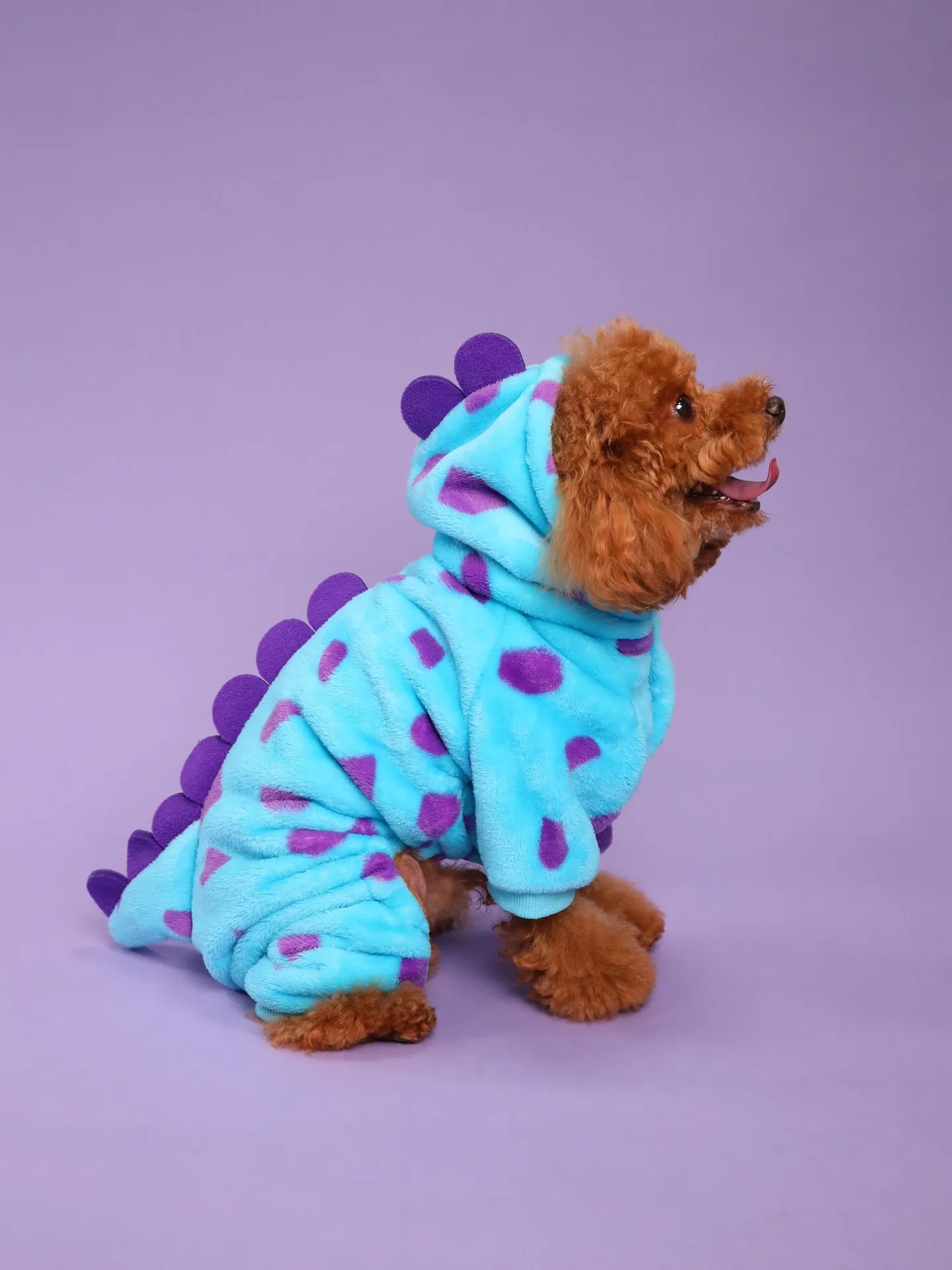 【PURPLE Backdrop Photoshoot -S...