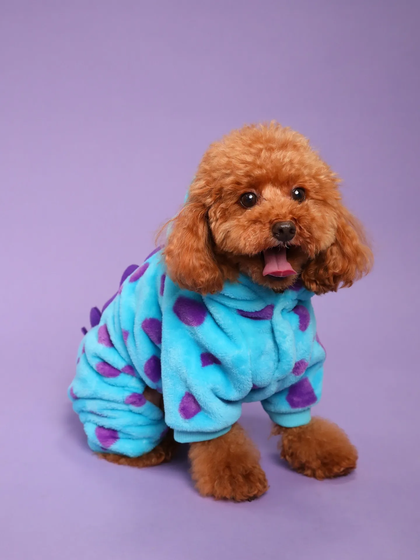 【PURPLE Backdrop Photoshoot -S...