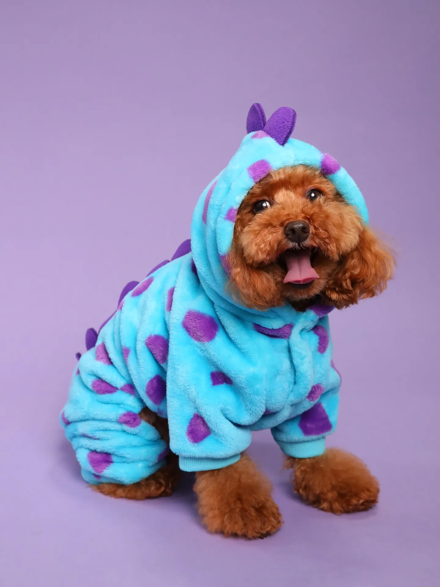 【PURPLE Backdrop Photoshoot -S...