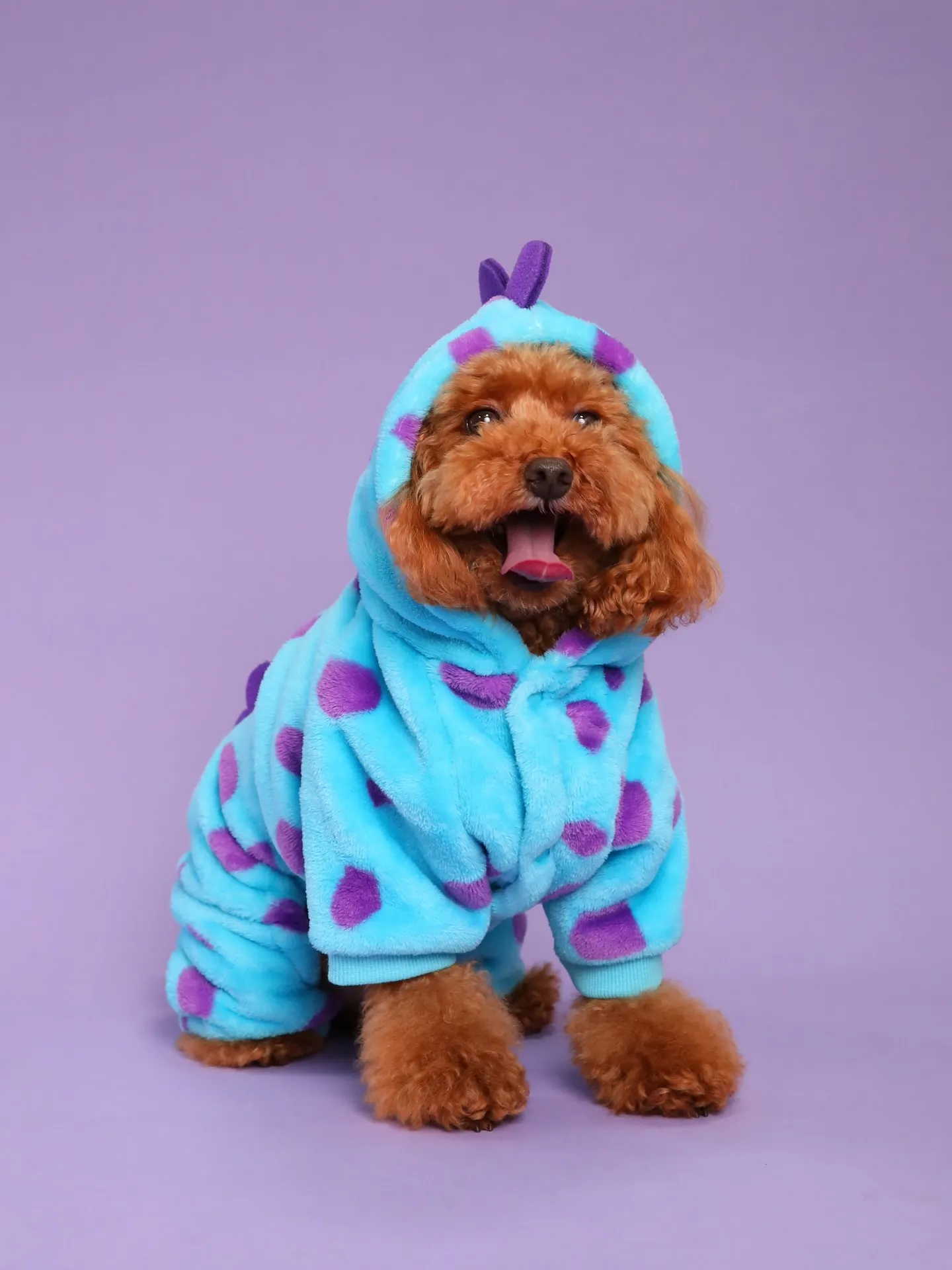 【PURPLE Backdrop Photoshoot -S...