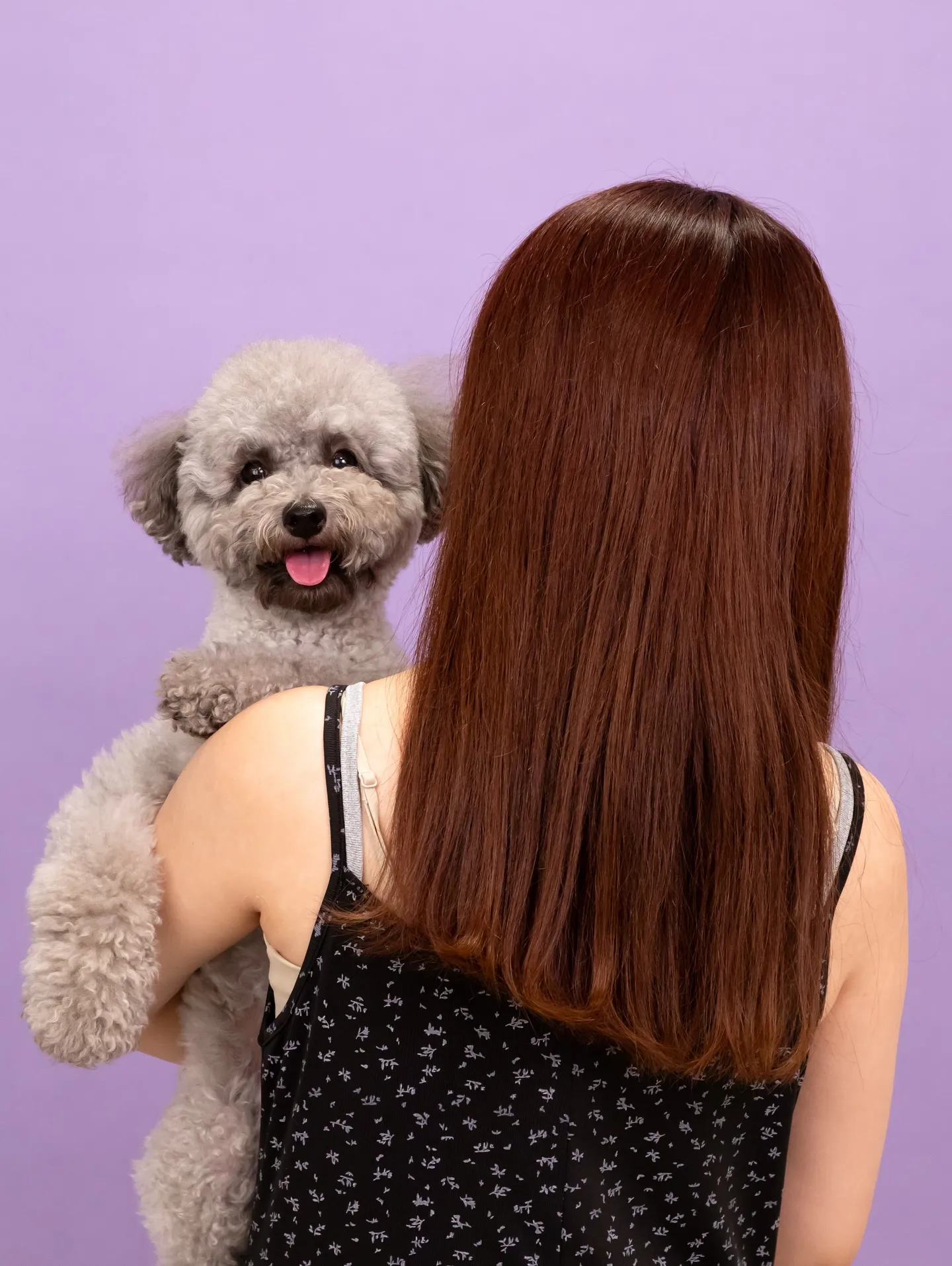 【PURPLE Backdrop Photoshoot -F...