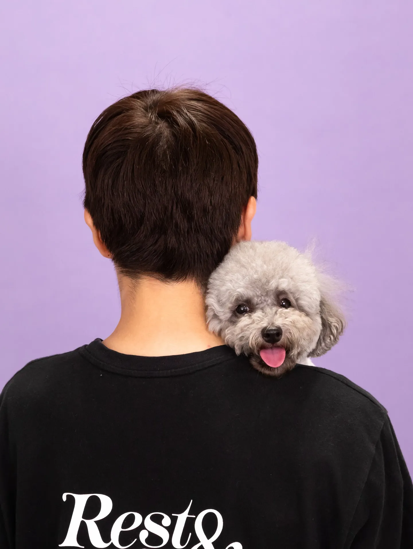 【PURPLE Backdrop Photoshoot -F...