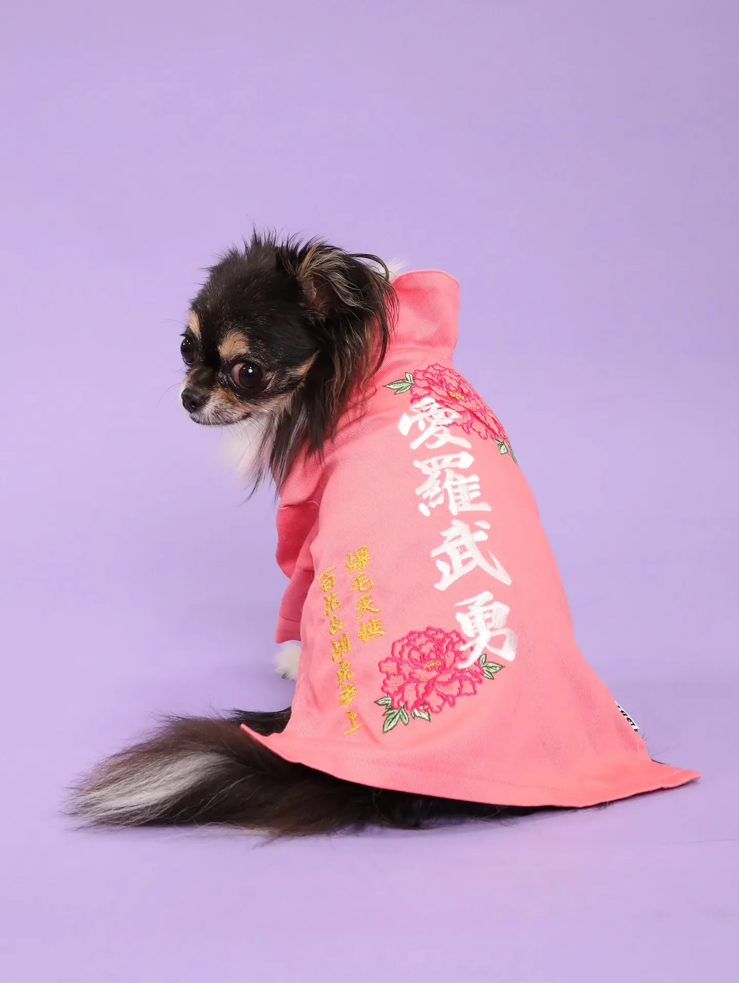 【PURPLE🪻Backdrop Photoshoot -S...