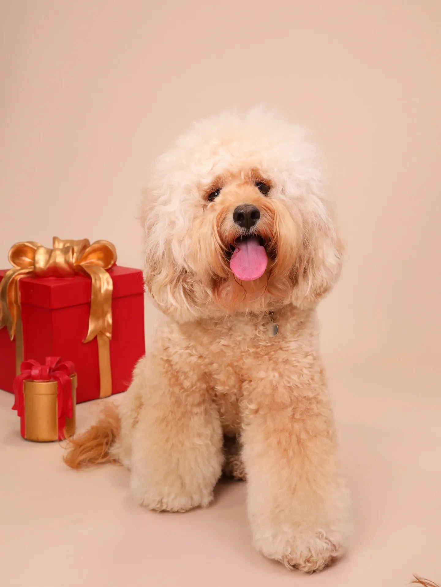 【BEIGE Backdrop Photoshoot -So...