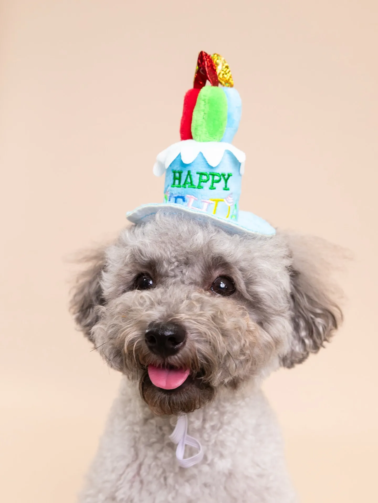 【BEIGE Backdrop Photoshoot -So...