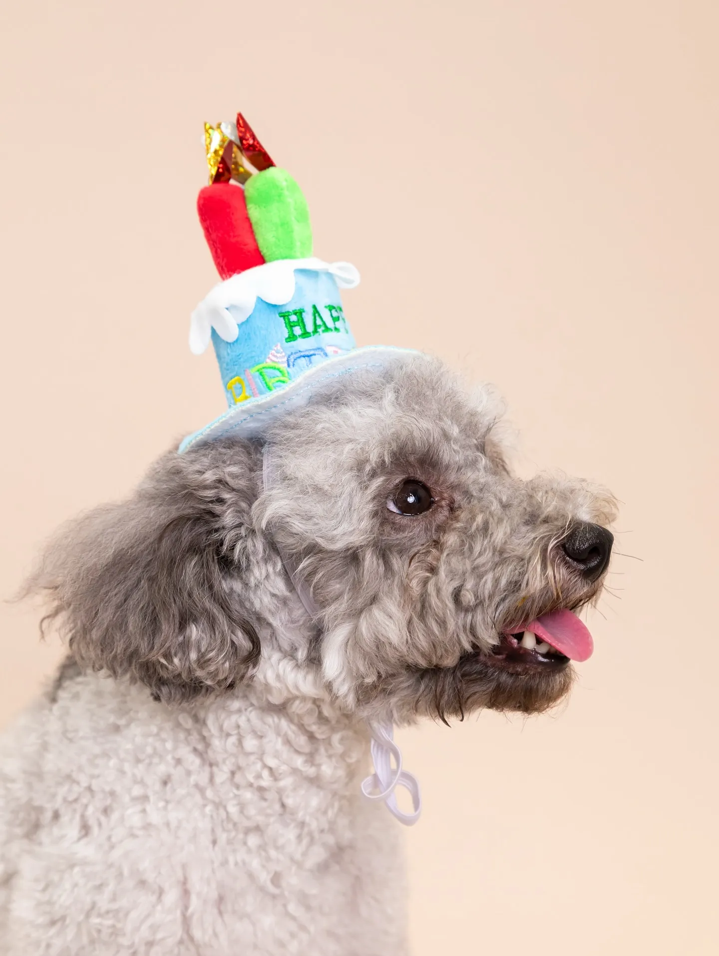 【BEIGE Backdrop Photoshoot -So...