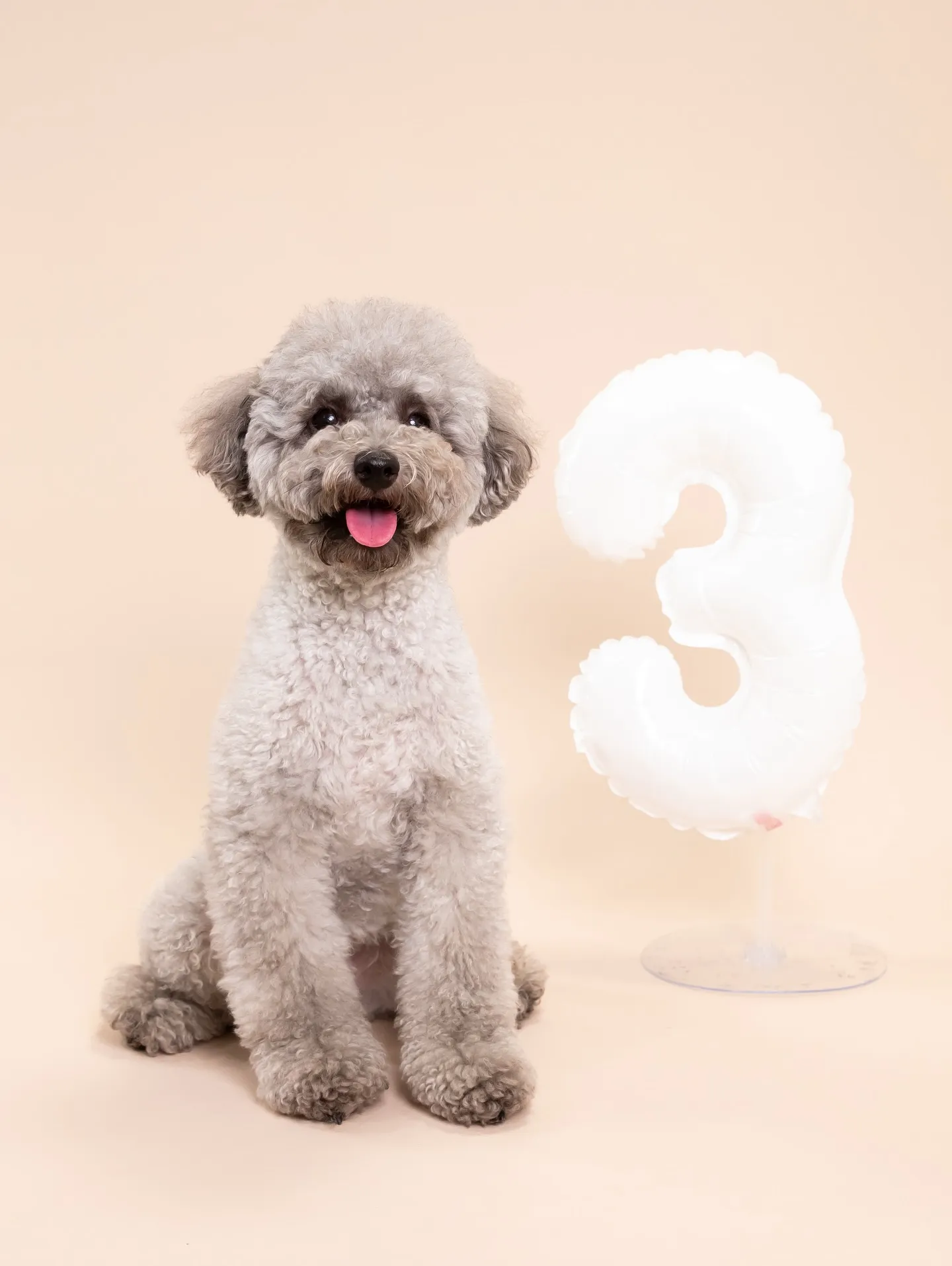 【BEIGE Backdrop Photoshoot -So...