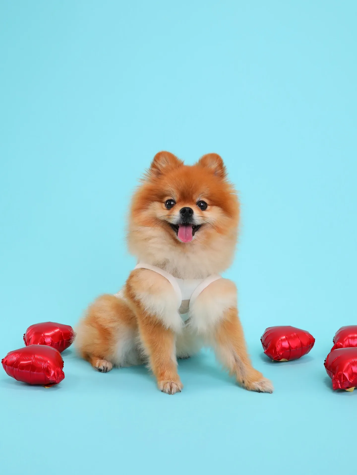 【Light-BLUE🗽SELF-Photoshoot】