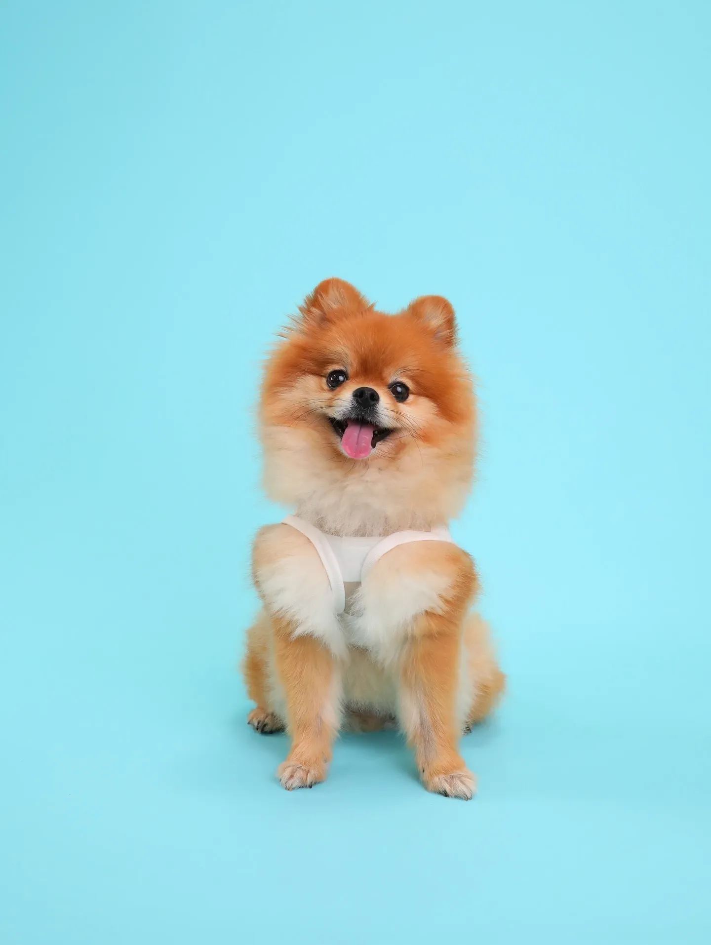 【Light-BLUE🗽SELF-Photoshoot】