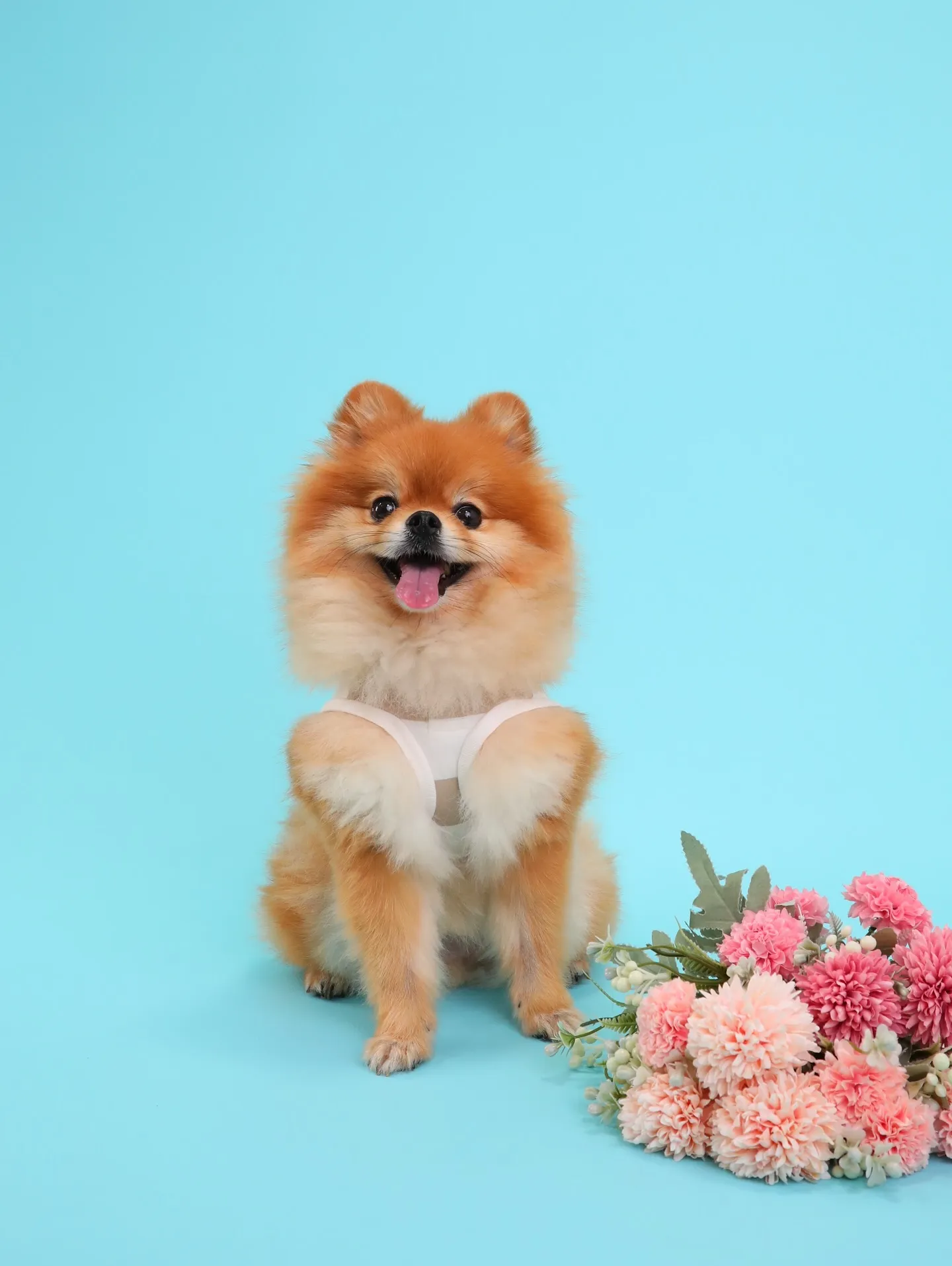 【Light-BLUE🗽SELF-Photoshoot】