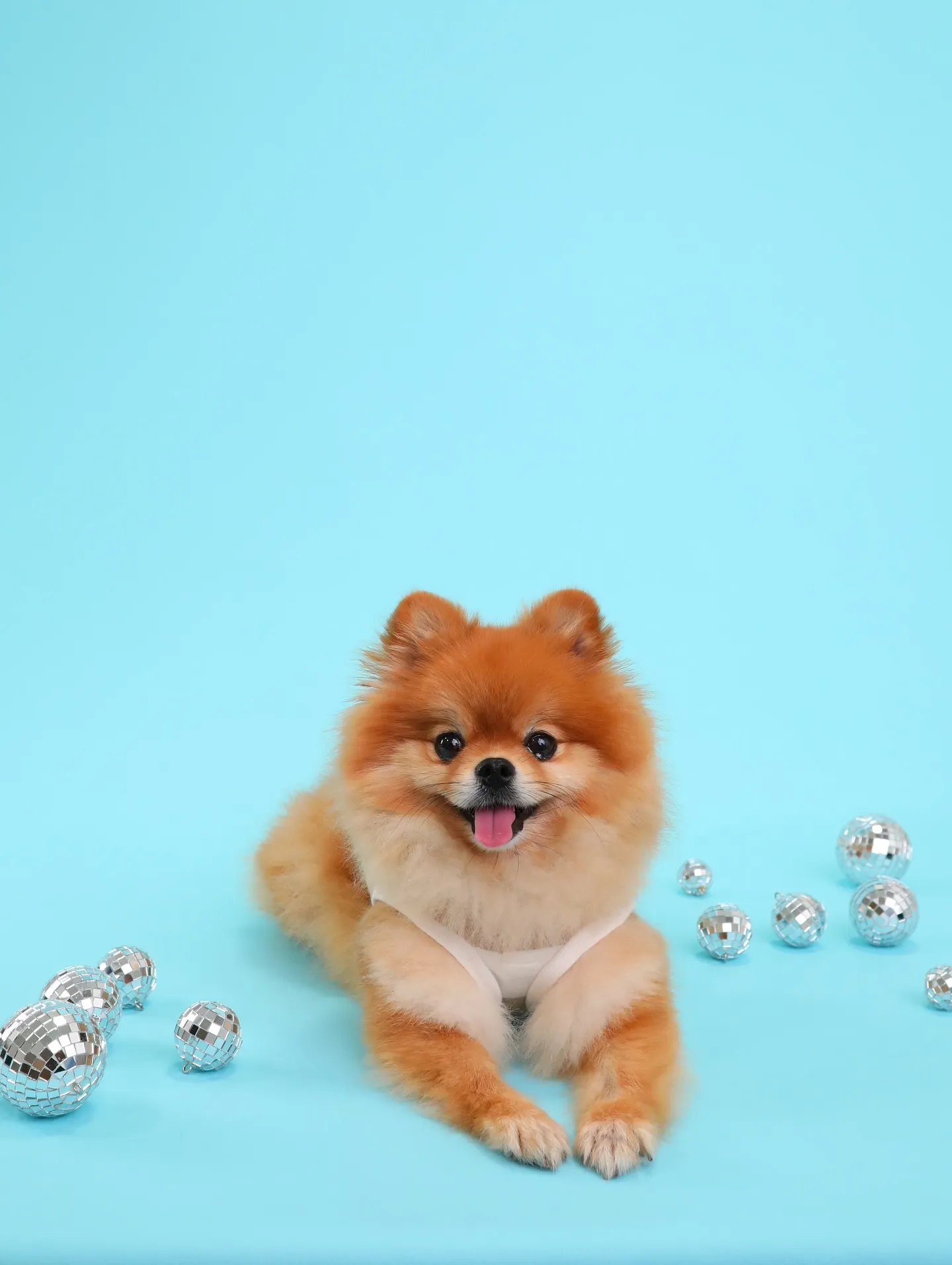 【Light-BLUE🗽SELF-Photoshoot】