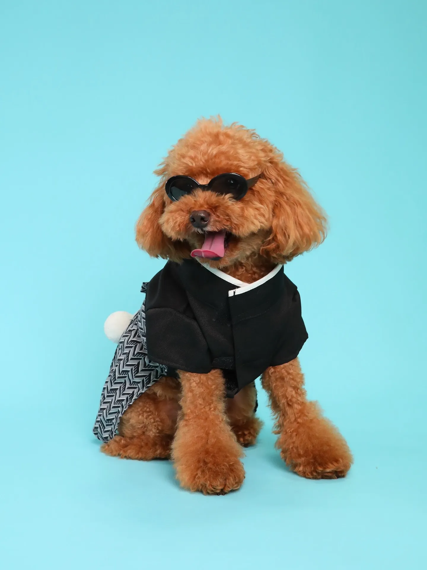 【Light-BLUE🗽Backdrop Photoshoo...