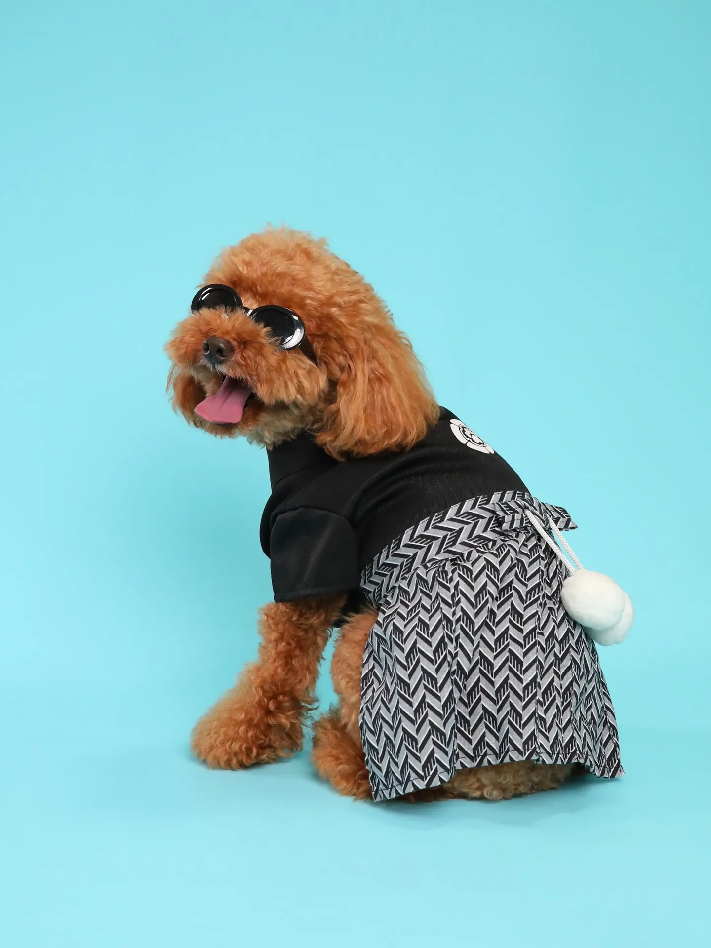 【Light-BLUE🗽Backdrop Photoshoo...