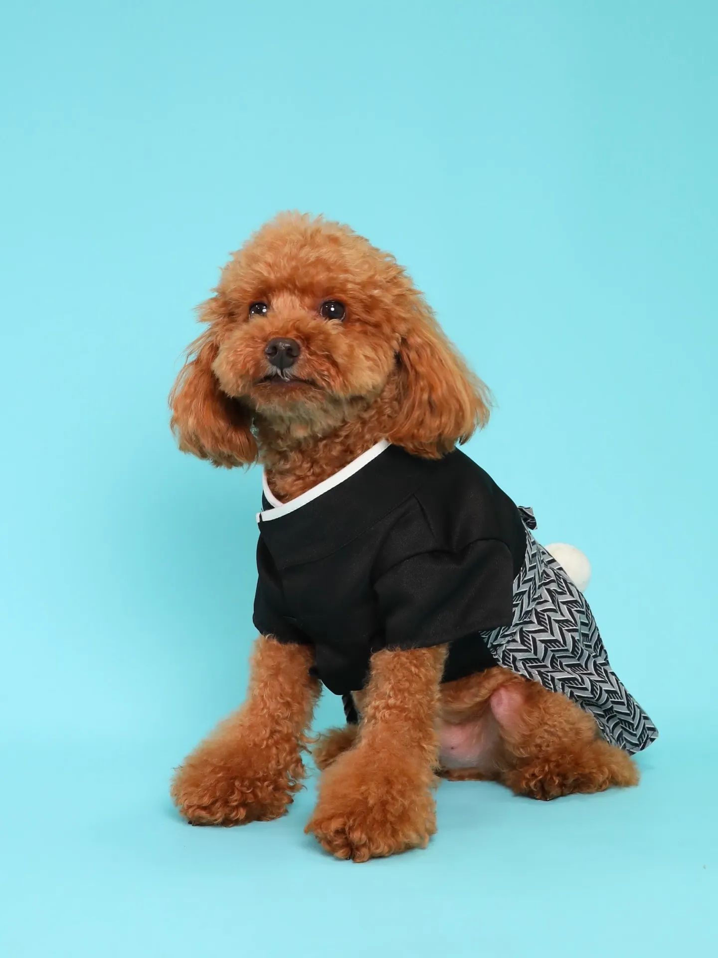 【Light-BLUE🗽Backdrop Photoshoo...