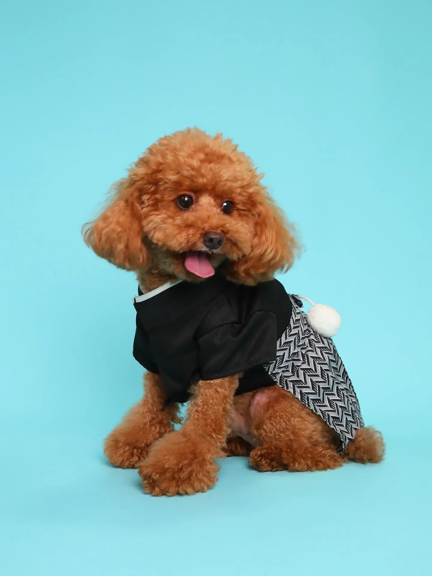 【Light-BLUE🗽Backdrop Photoshoo...